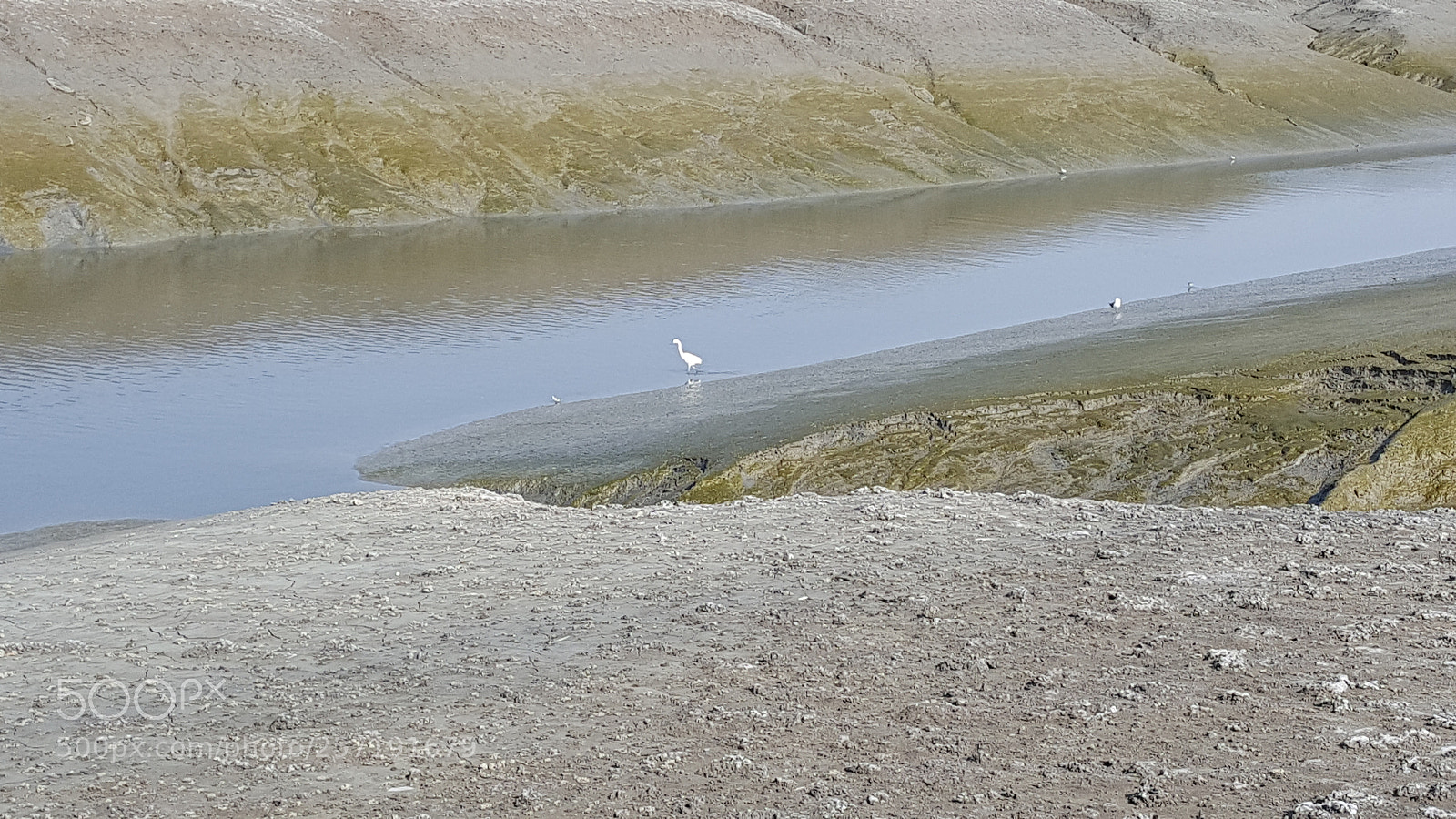 Samsung Galaxy Note5 sample photo. Lonely photography