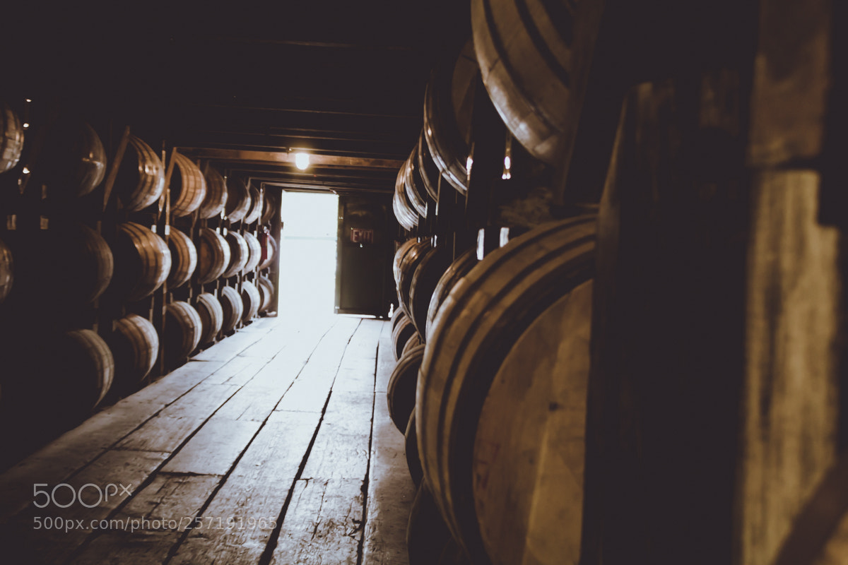 Canon EOS 600D (Rebel EOS T3i / EOS Kiss X5) sample photo. Buffalo trace photography