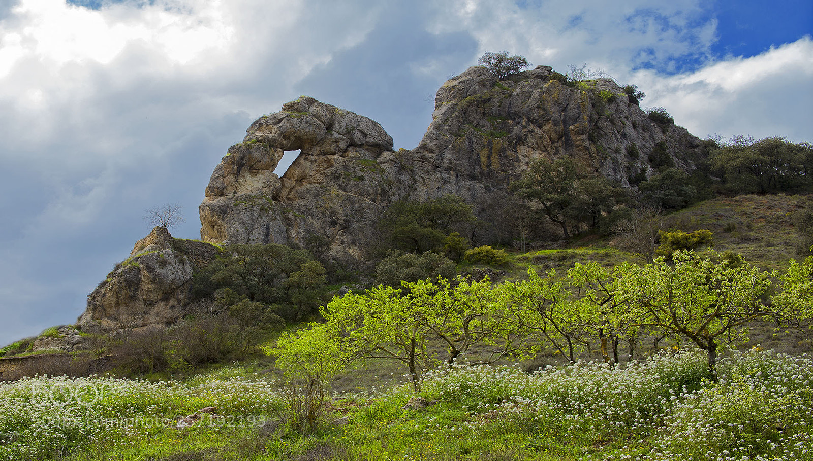 Canon EOS 6D sample photo. Img photography