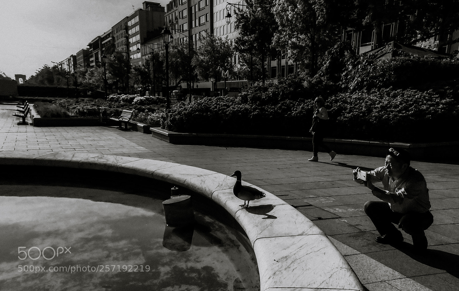 Apple iPhone 5s sample photo. The duck, the tourist photography