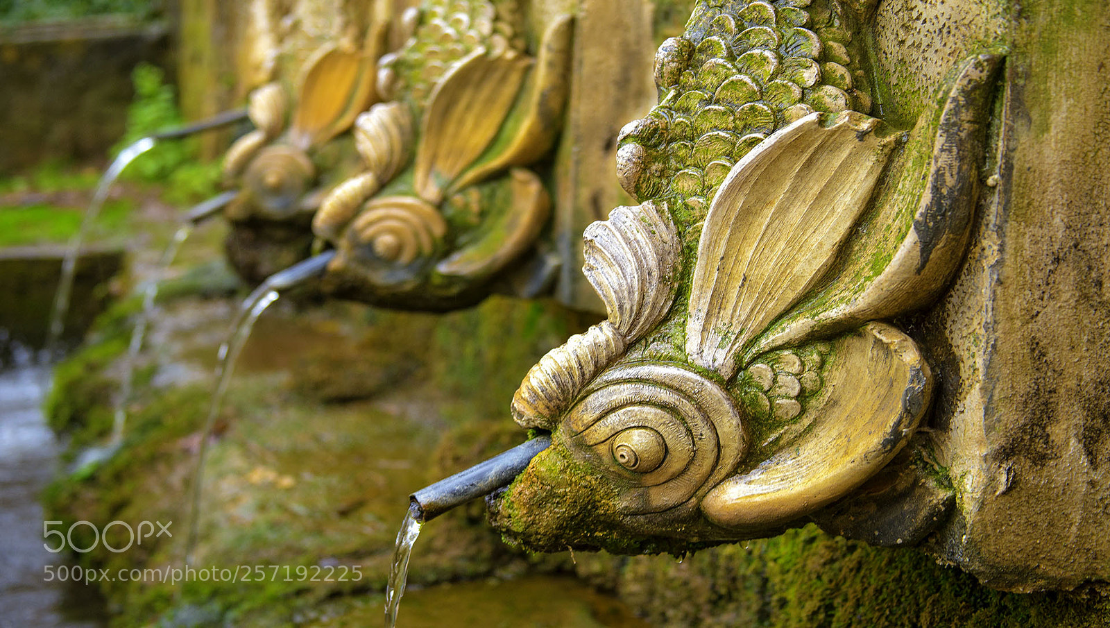 Canon EOS 6D sample photo. Img photography