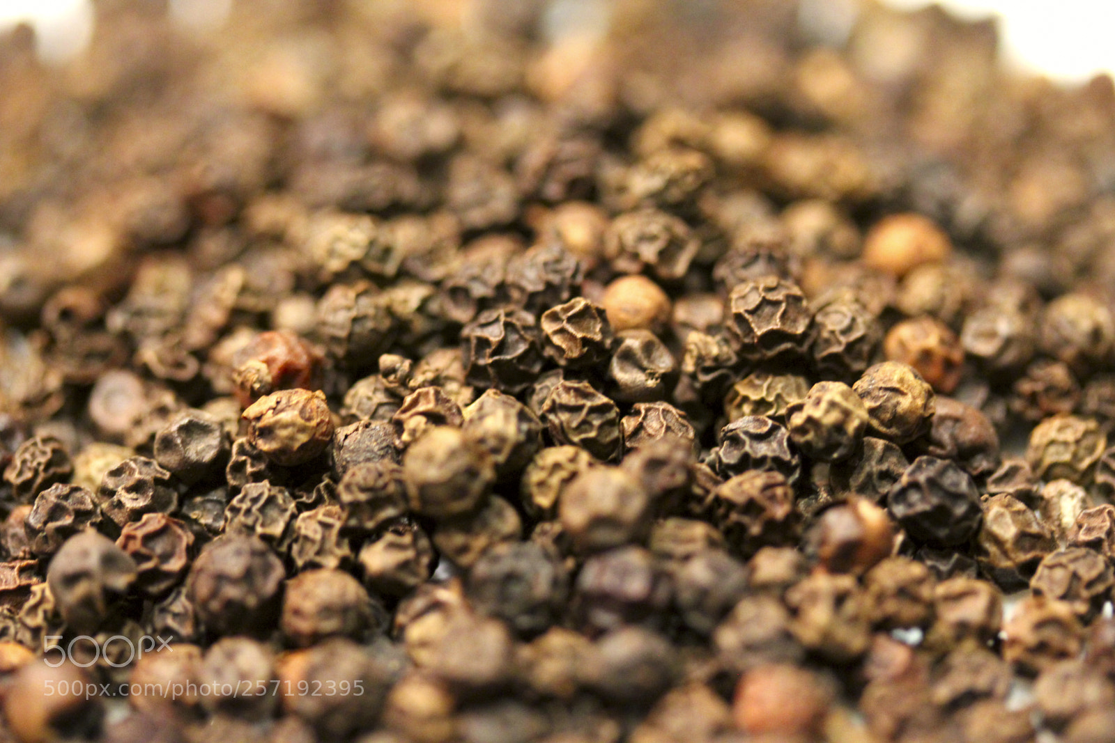 Canon EOS 550D (EOS Rebel T2i / EOS Kiss X4) sample photo. Black pepper photography