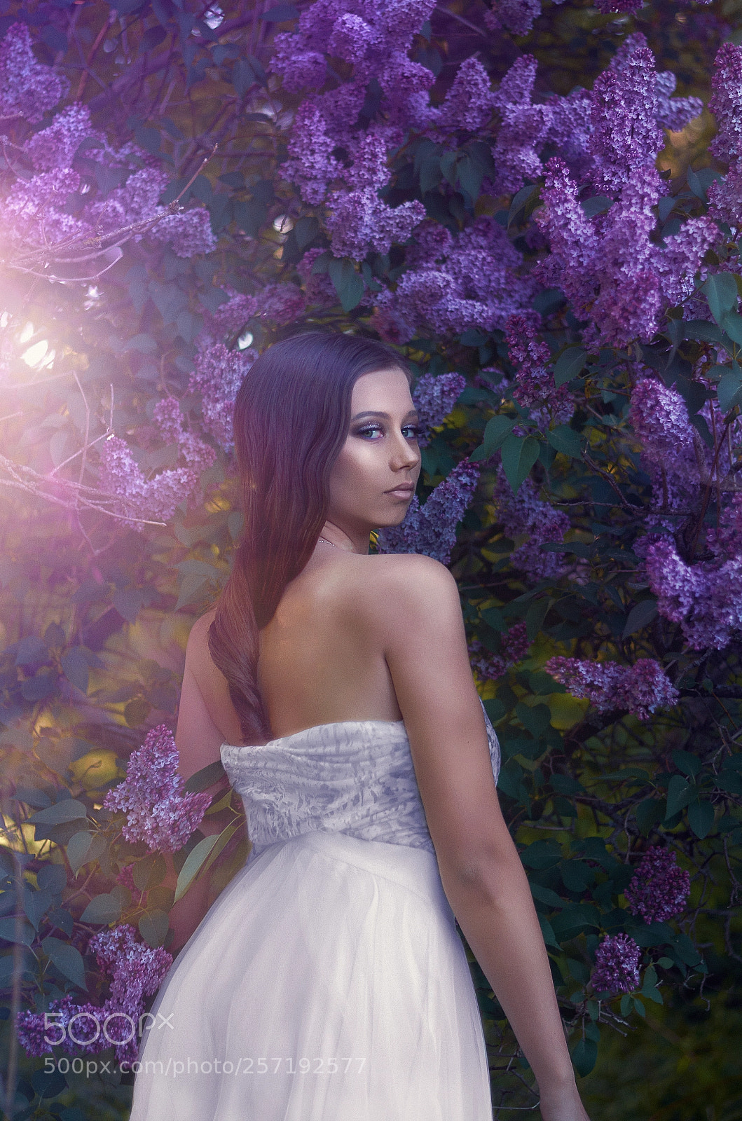 Nikon D7000 sample photo. Syringa photography