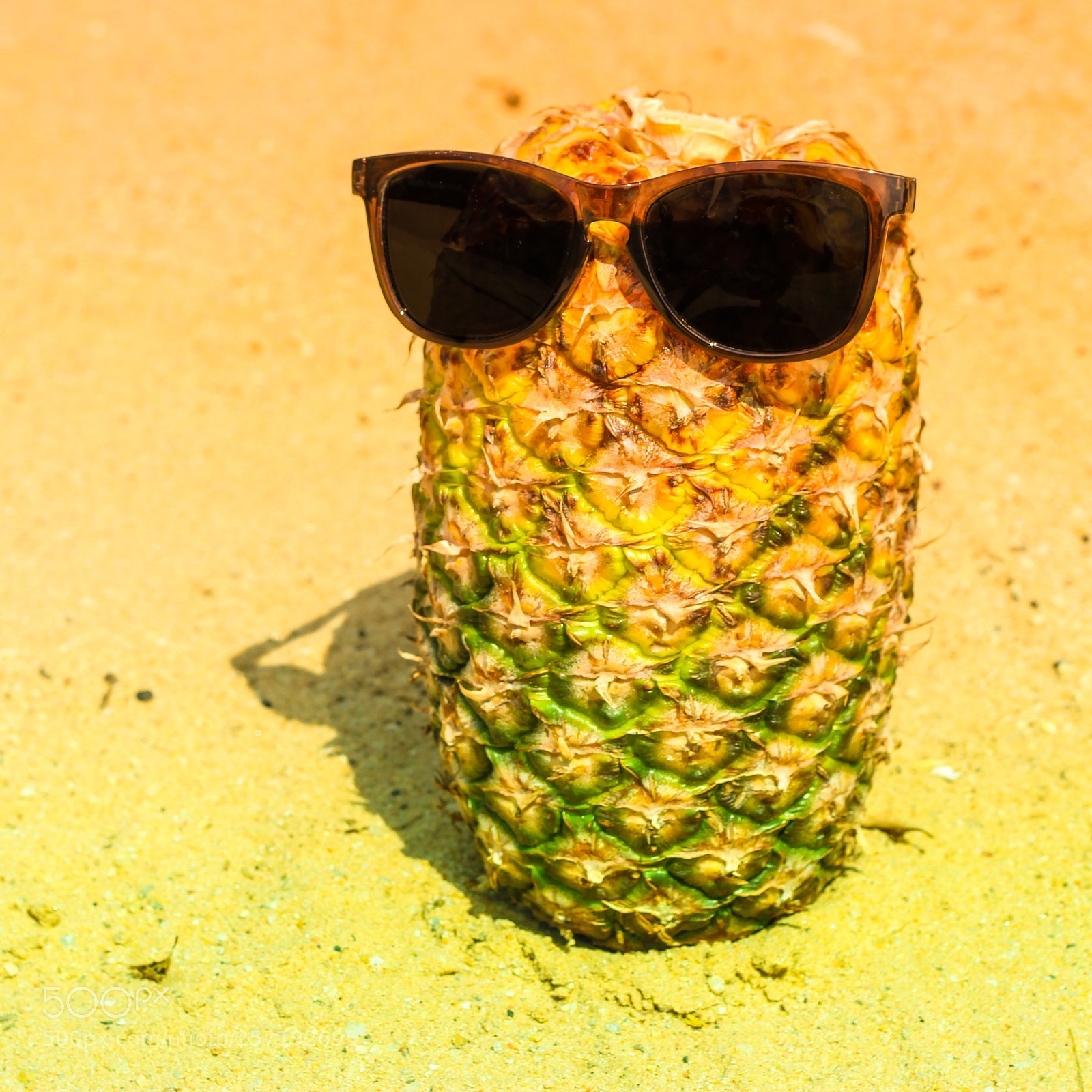 Canon EOS 600D (Rebel EOS T3i / EOS Kiss X5) sample photo. Fresh young pineapple lying photography