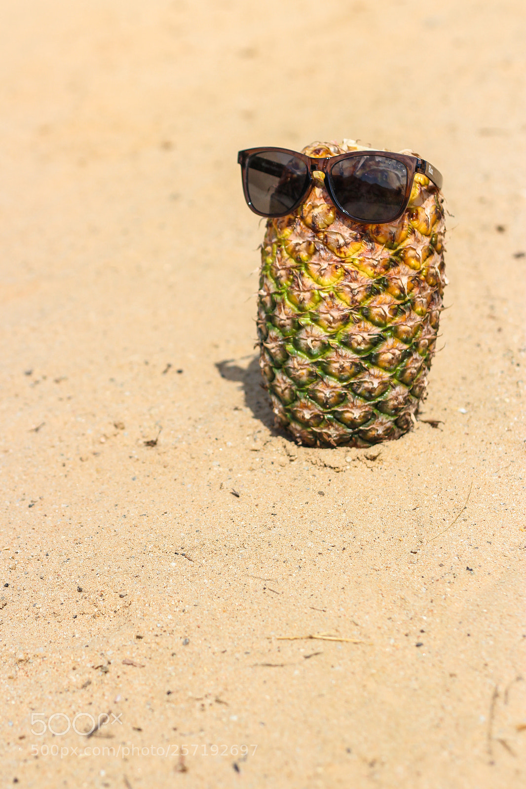 Canon EOS 600D (Rebel EOS T3i / EOS Kiss X5) sample photo. Fresh young pineapple lying photography
