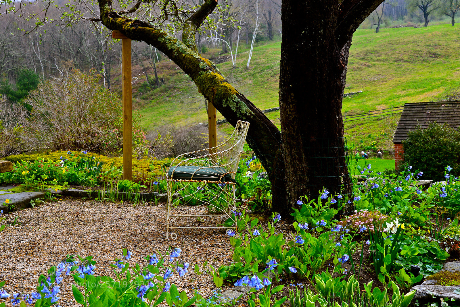Nikon D600 sample photo. Country garden photography