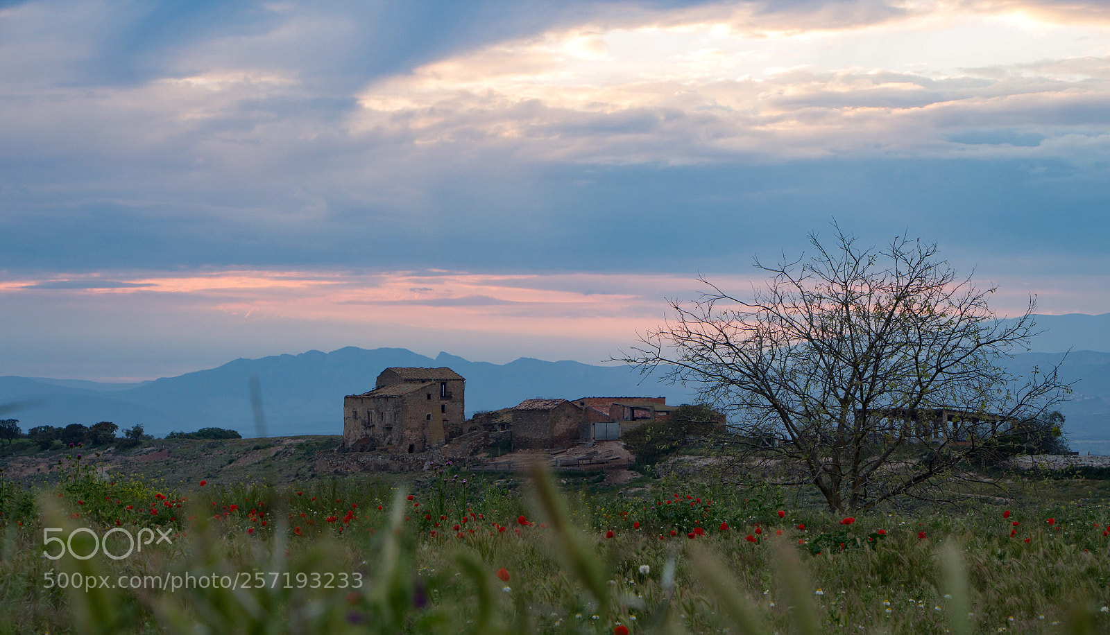 Canon EOS 700D (EOS Rebel T5i / EOS Kiss X7i) sample photo. Almenara's sunset  photography