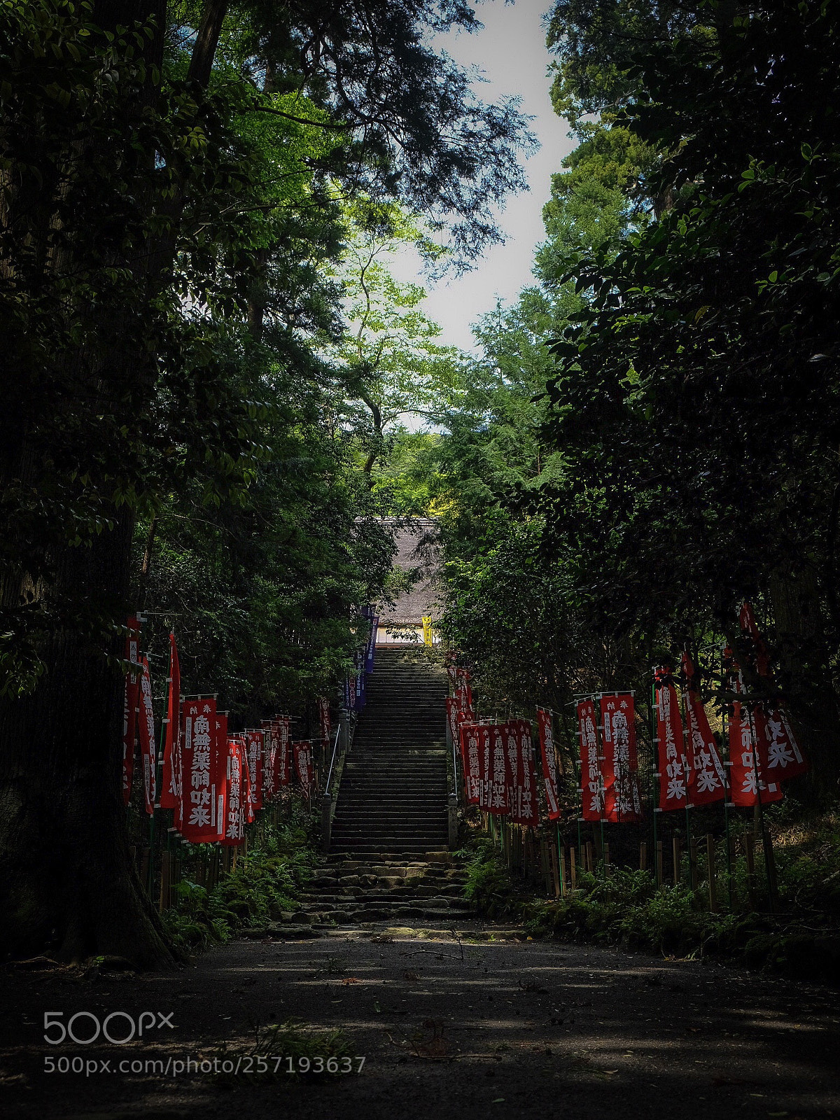 Fujifilm X-T20 sample photo. Healing buddha photography