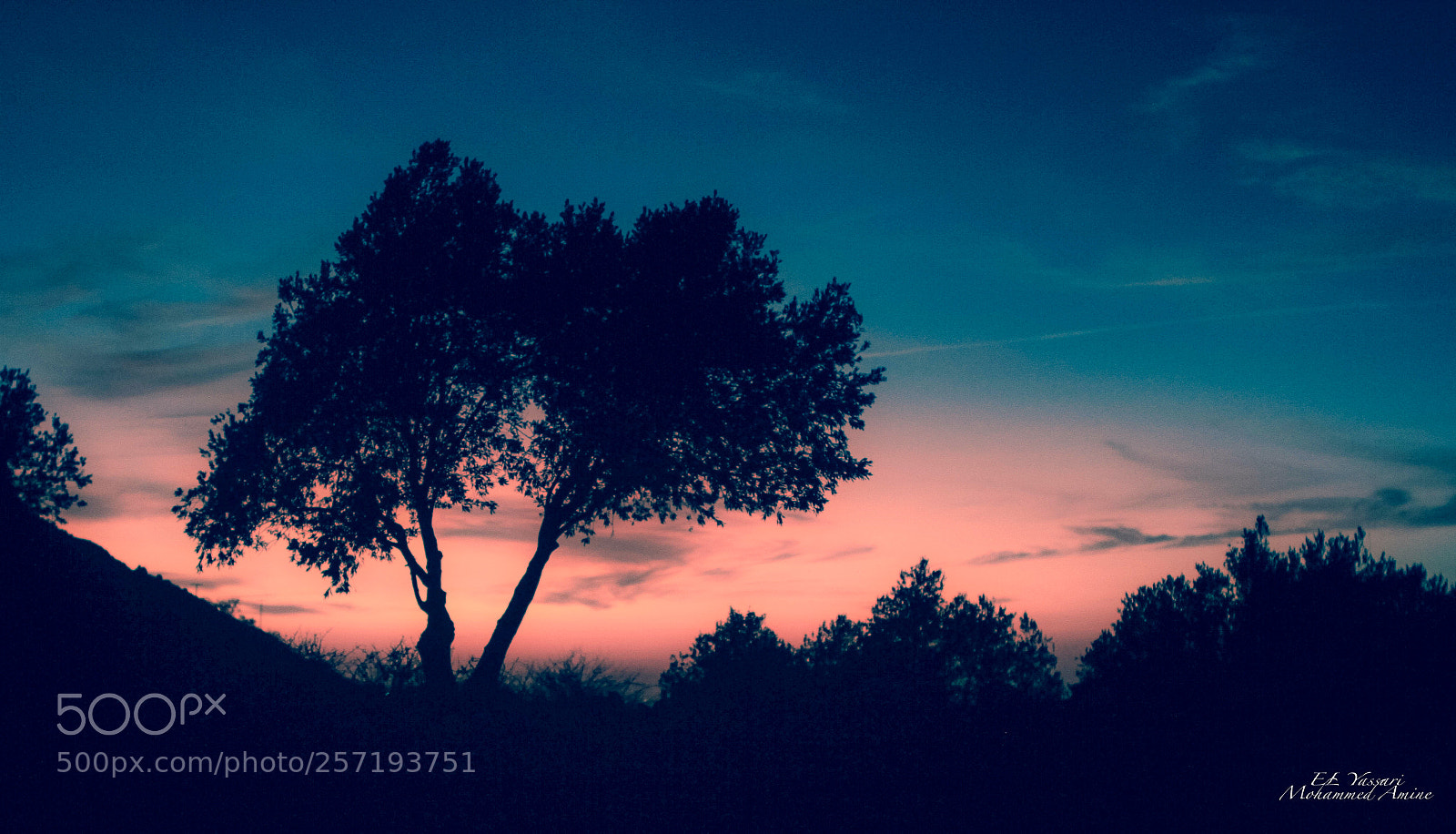 Canon EOS 7D sample photo. Sunset photography