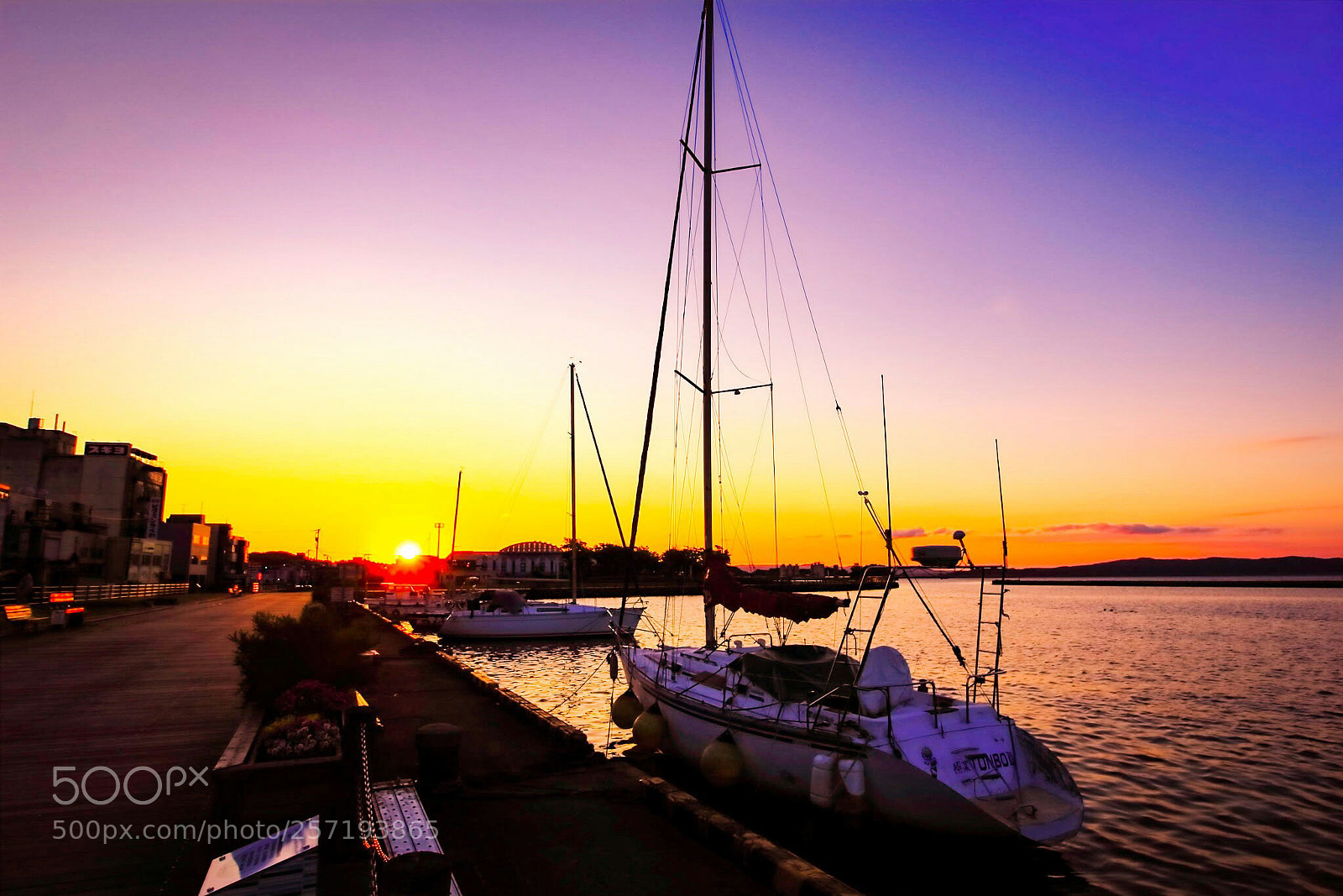 Canon EOS 60D sample photo. Untitled photography