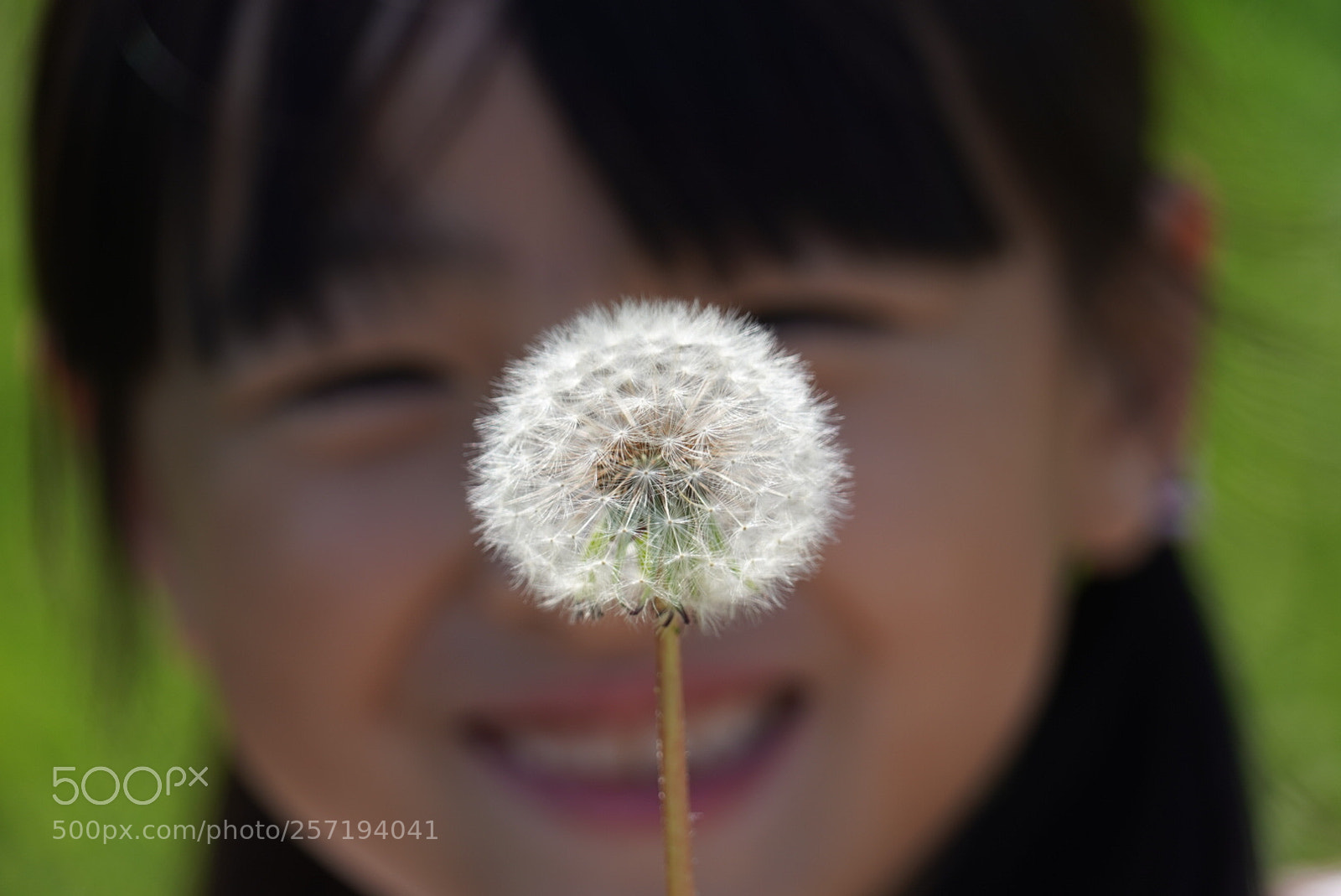 Sony a7 III sample photo. Untitled photography