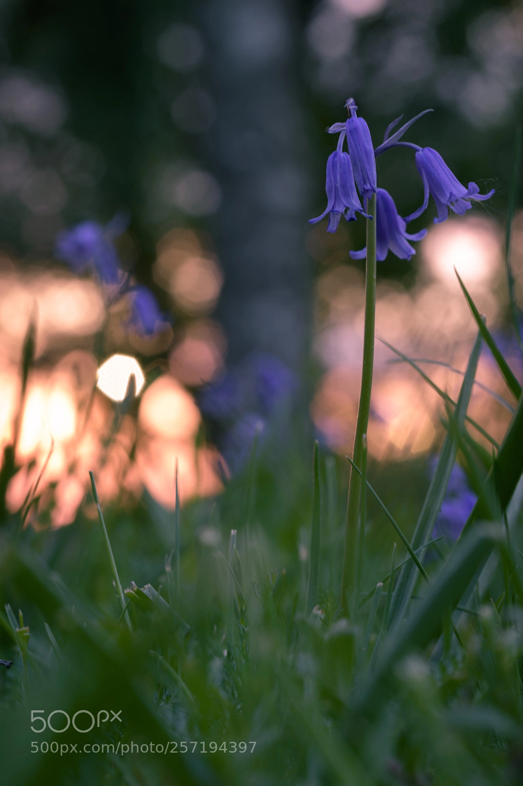 Nikon D5500 sample photo. Another day in paradise.. photography