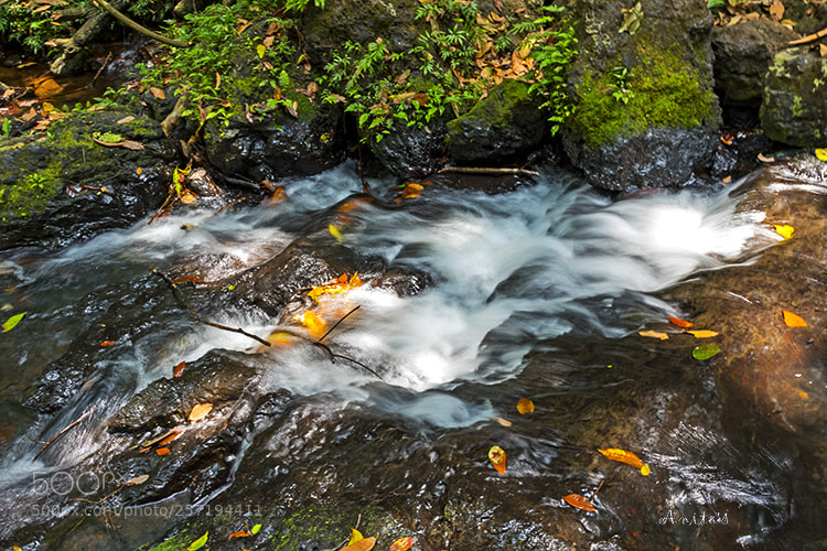 Nikon D750 sample photo. The flow photography