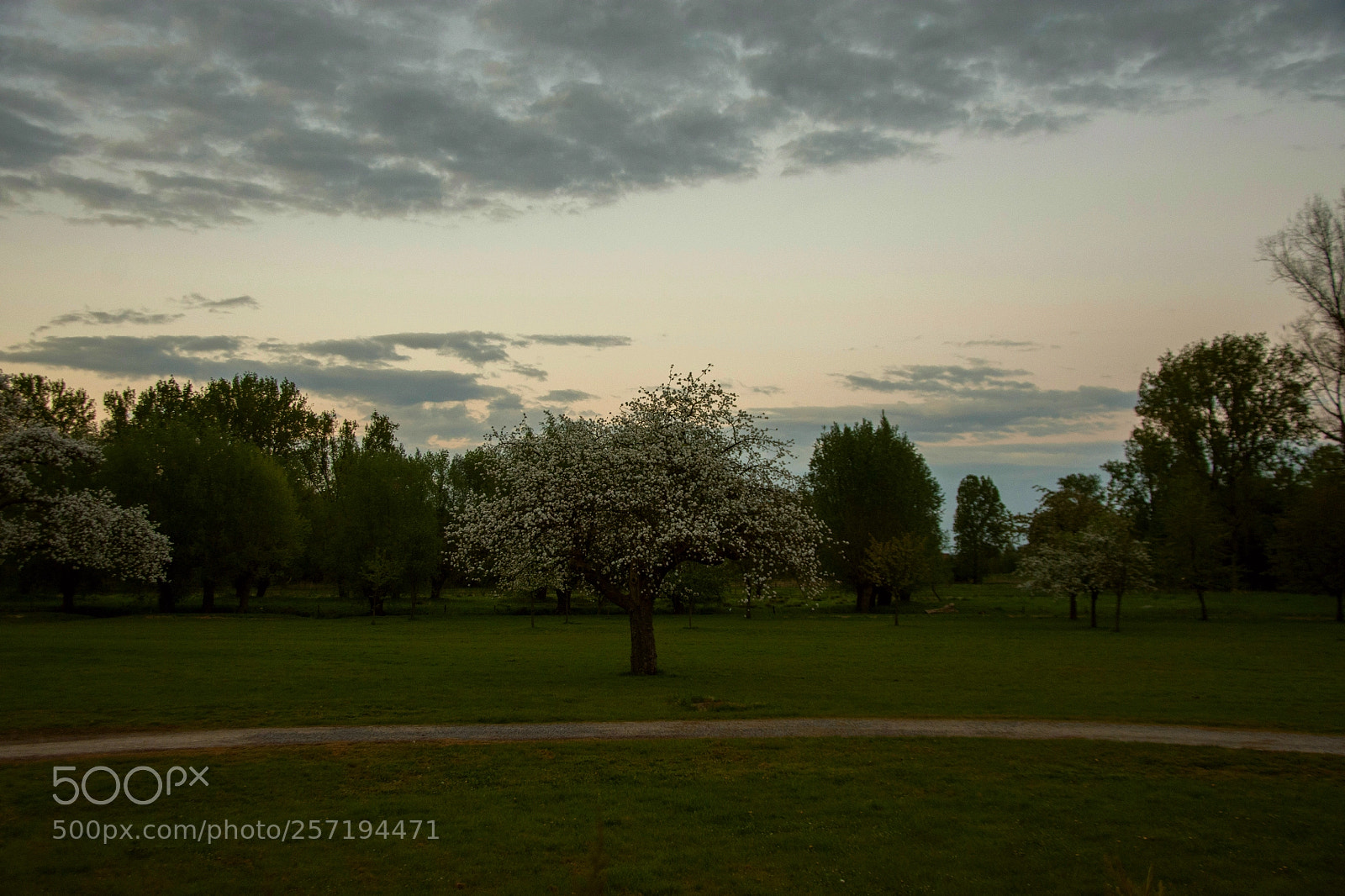 Nikon D7200 sample photo. Sunsetlandscape photography
