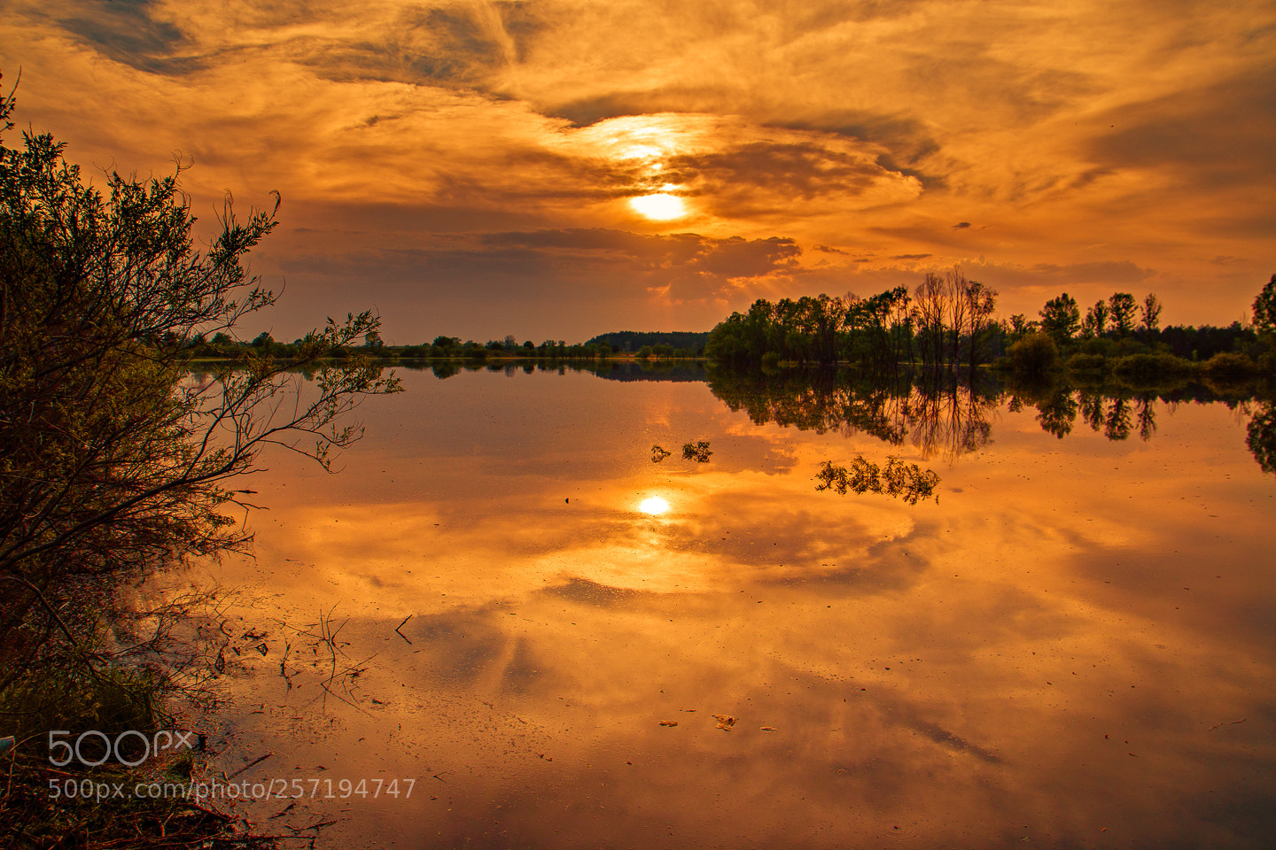 Canon EOS 70D sample photo. Orange evening photography