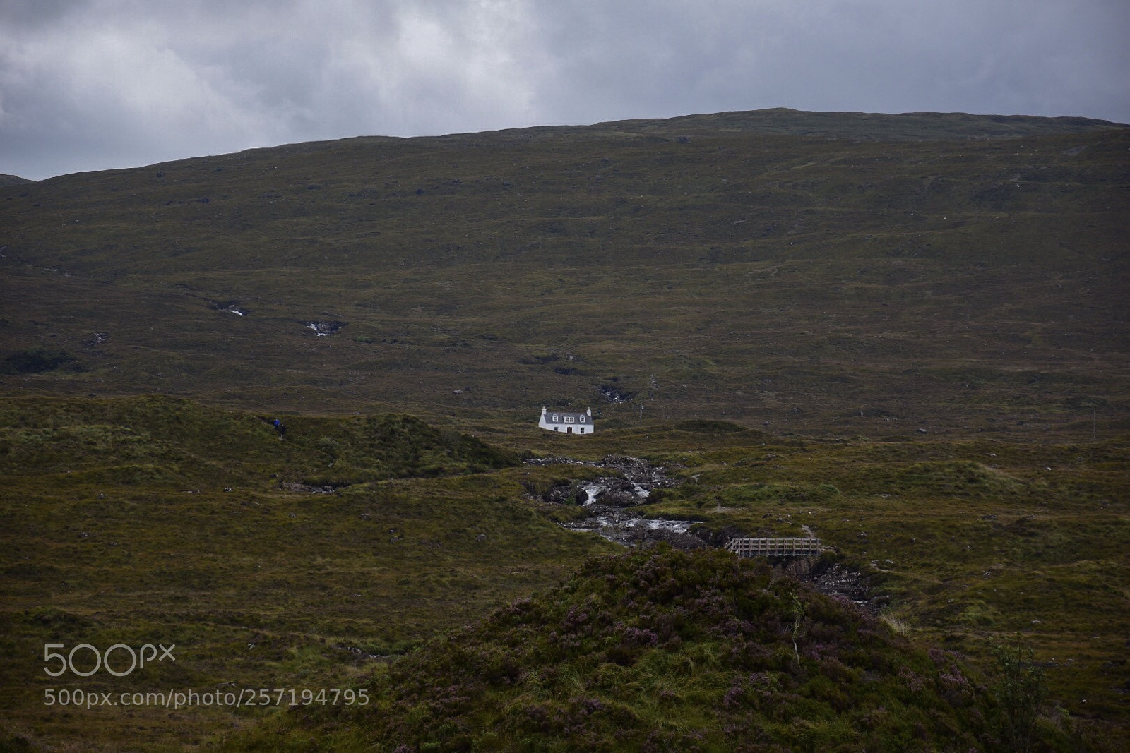 Nikon D5500 sample photo. In the highlands photography