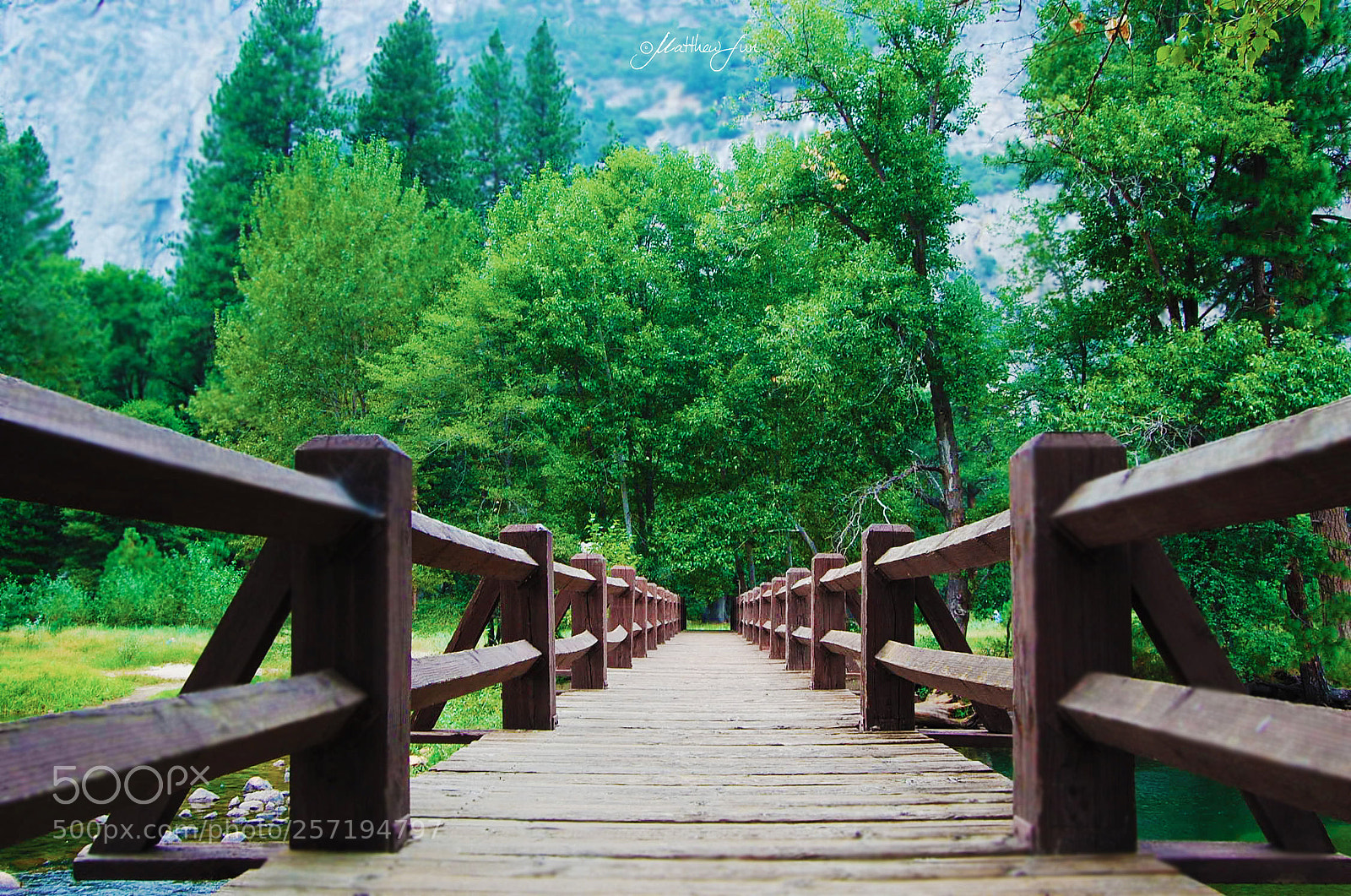 Nikon D40 sample photo. Into the unknown photography