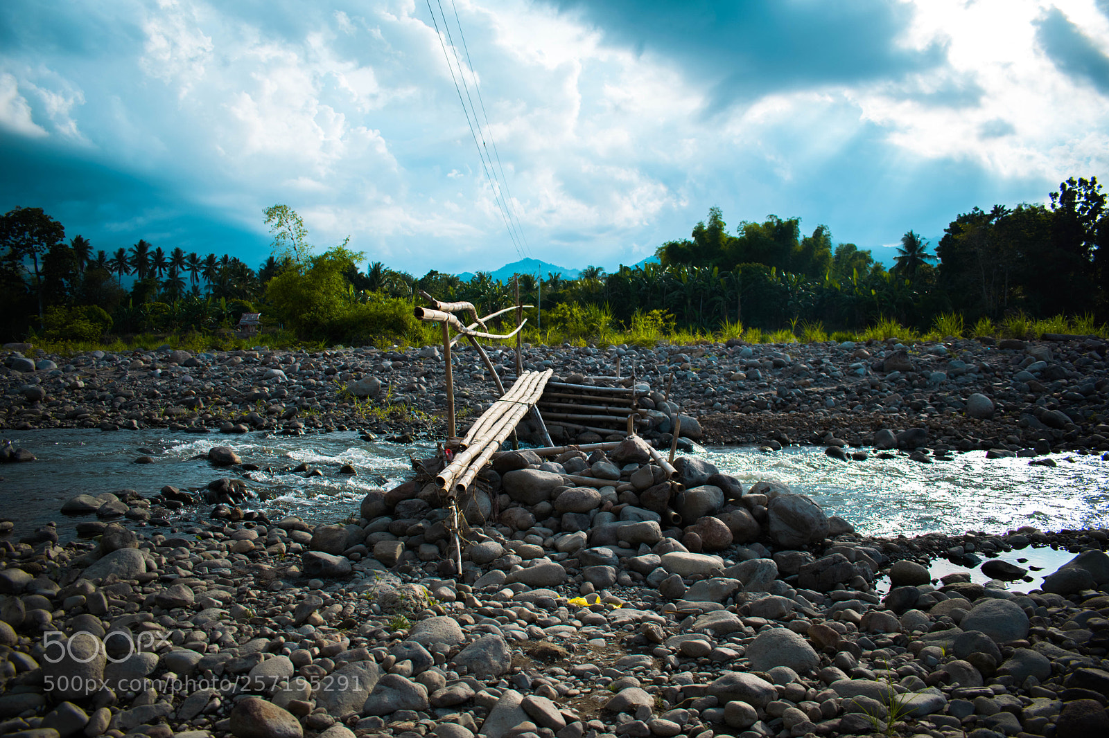 Nikon D5300 sample photo. Bamboo bridge photography