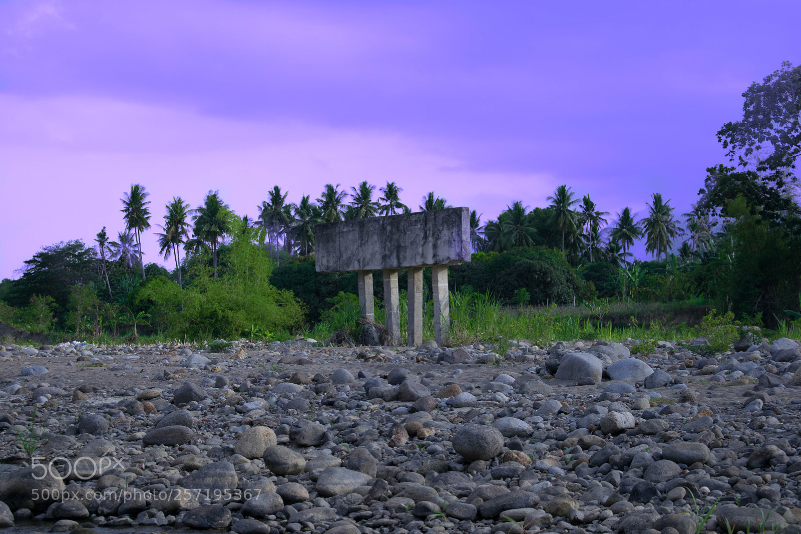 Nikon D5300 sample photo. Pink skies photography