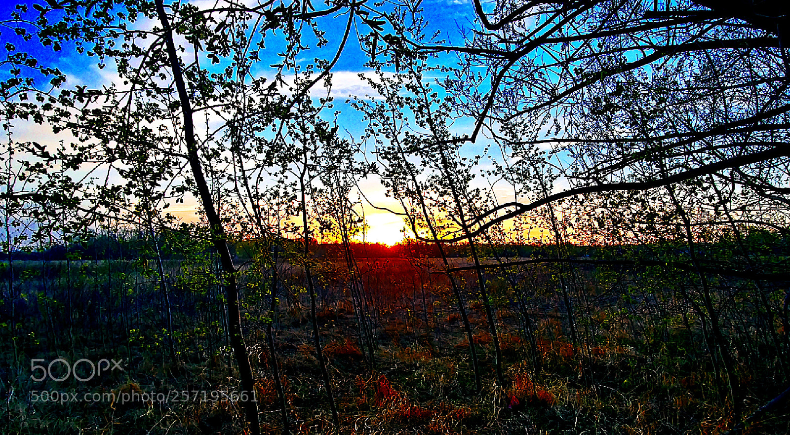 LG G6 sample photo. Sunset in the country photography