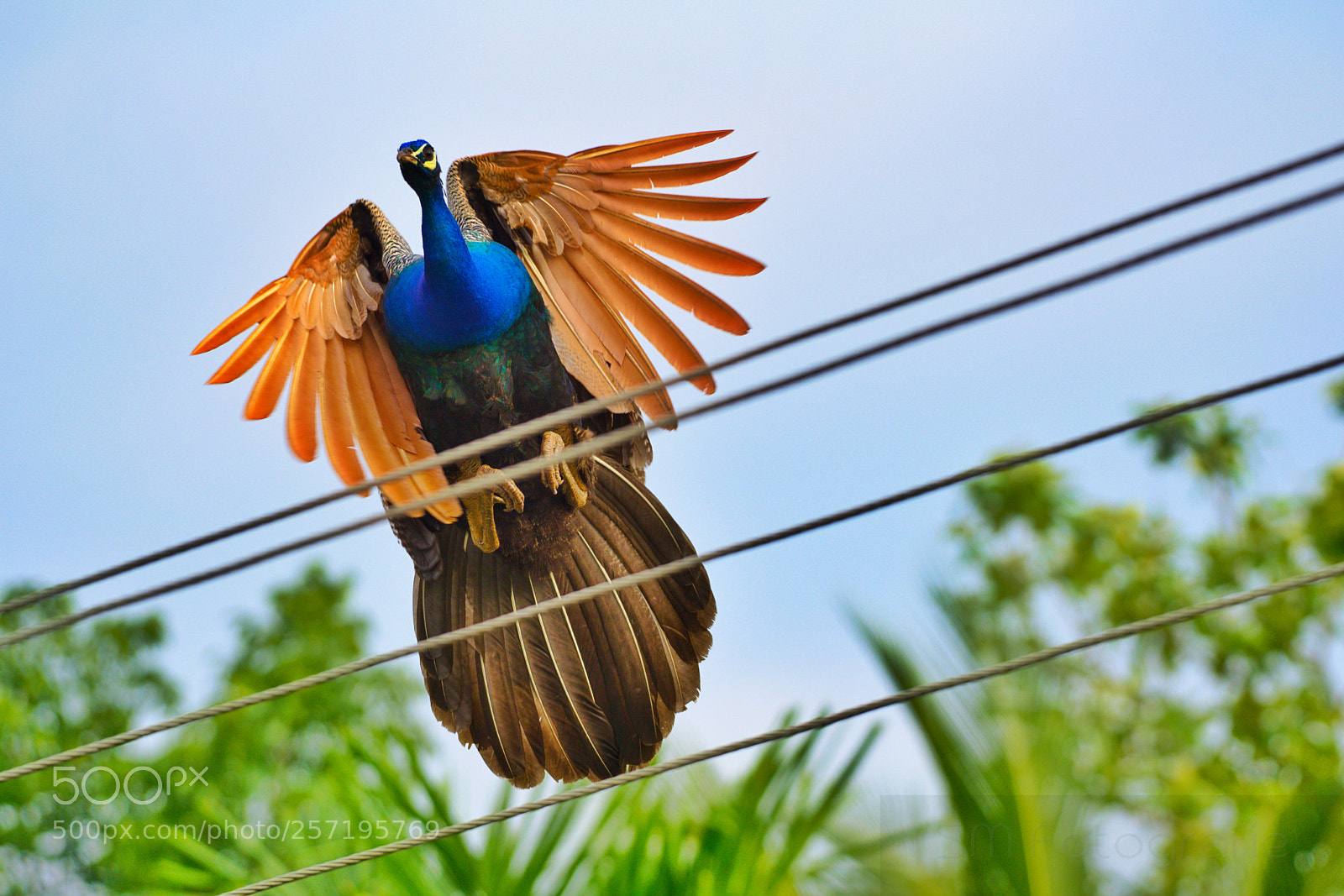 Nikon D750 sample photo. On flight photography