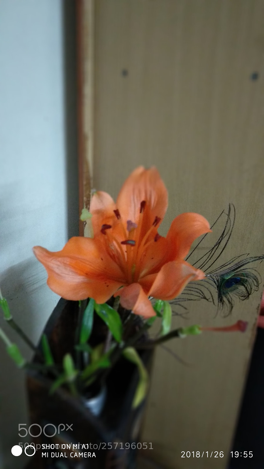 Xiaomi Mi A1 sample photo. Untitled photography