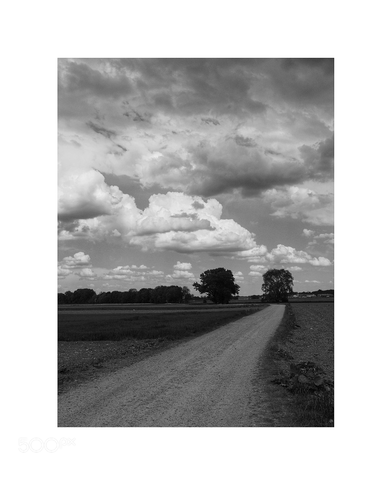 Olympus PEN-F sample photo. Dramatic sky before the photography