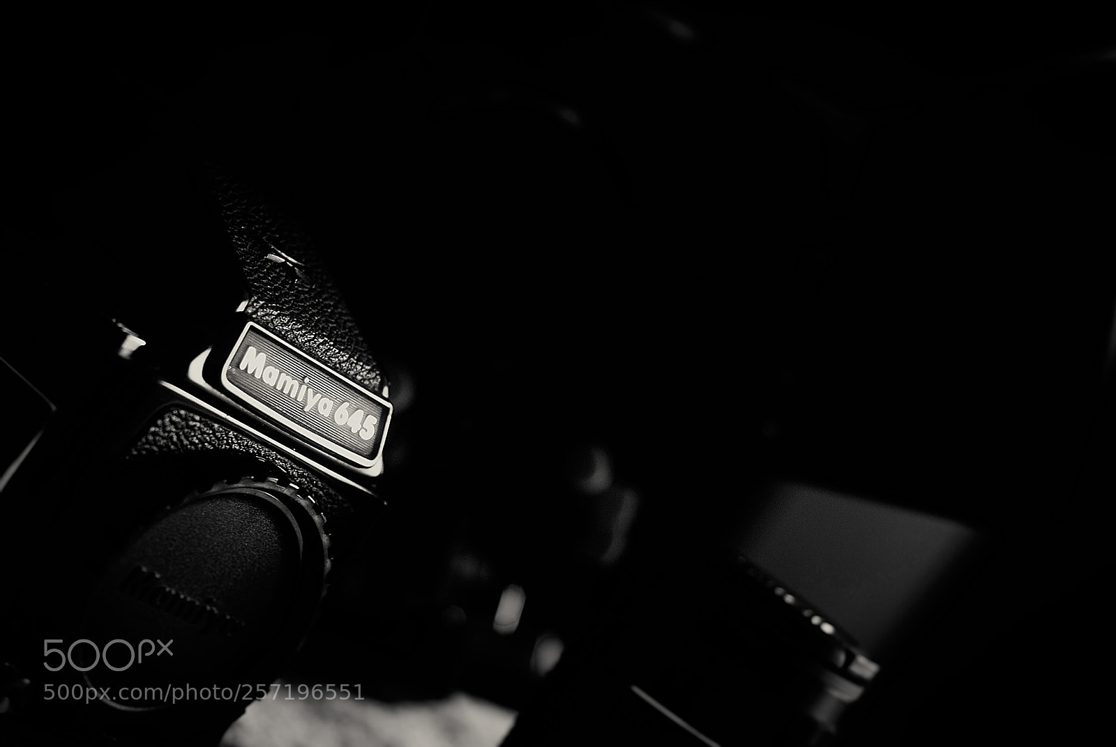 Nikon D80 sample photo. Mamiya 645 photography