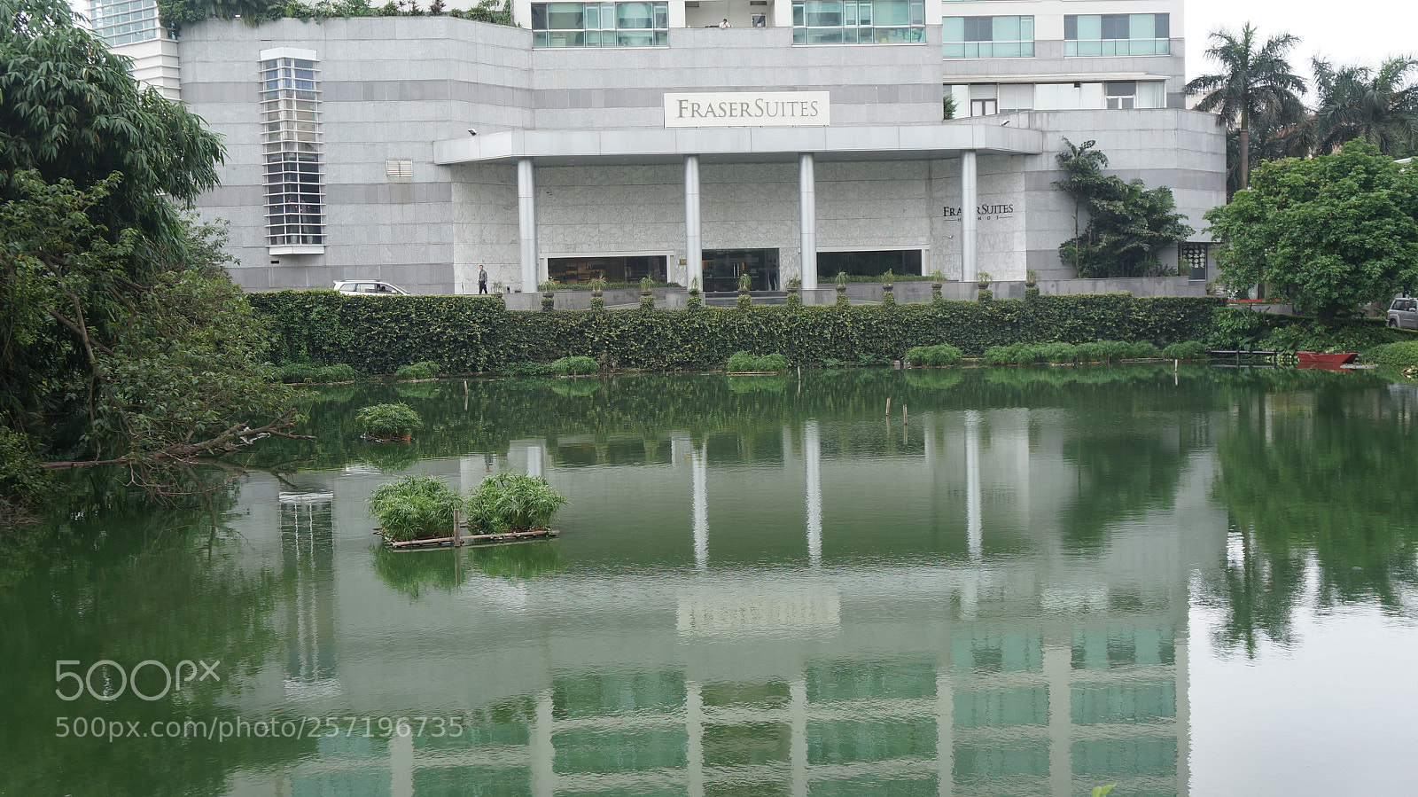 Sony Alpha NEX-5N sample photo. Untitled photography