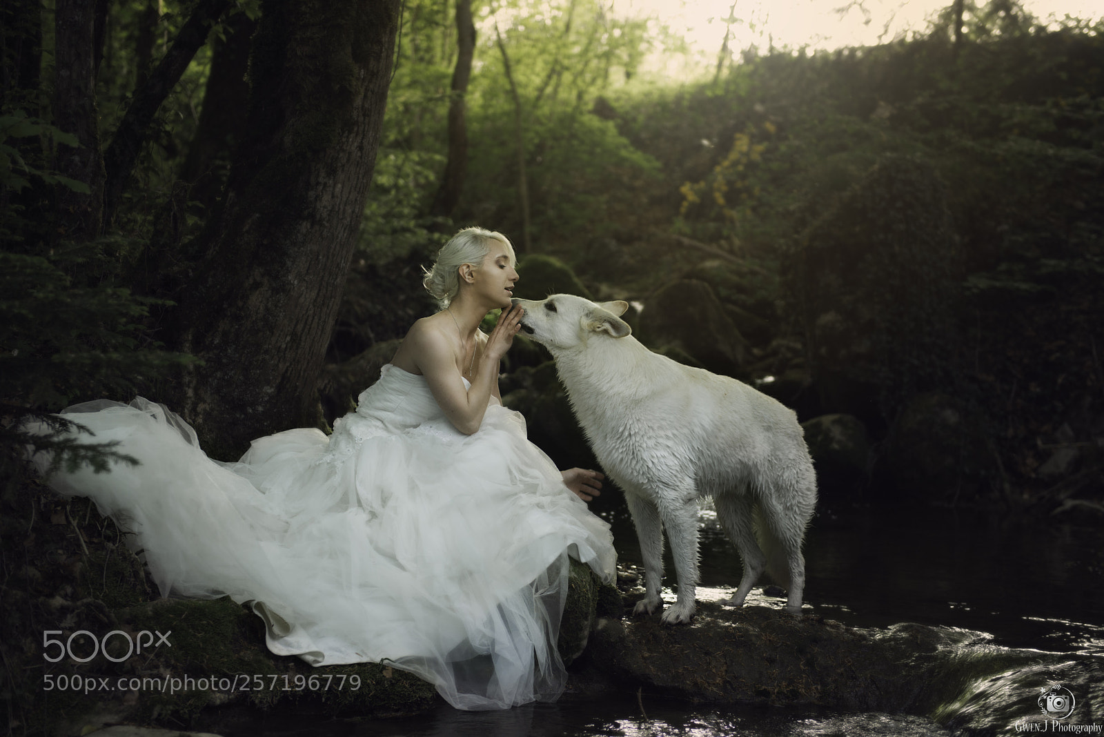 Nikon D800 sample photo. La dame au loup photography