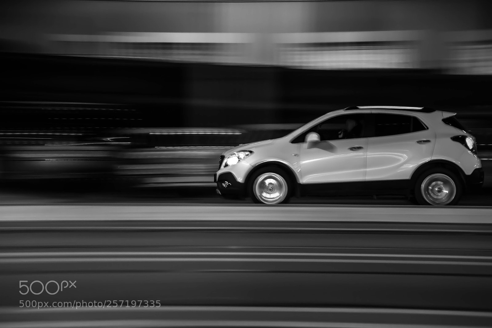 Nikon D610 sample photo. Bw pan photography