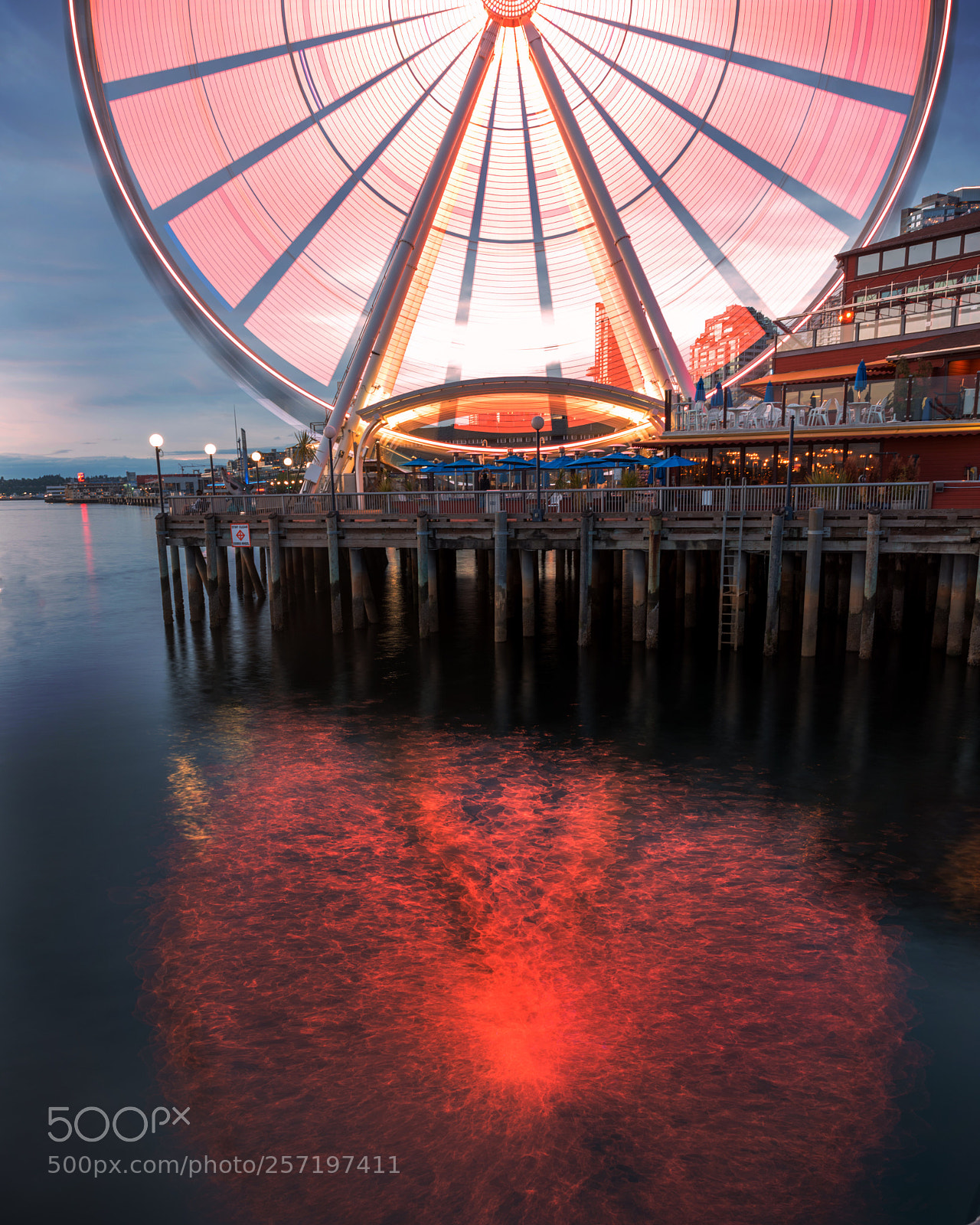 Nikon D810 sample photo. Feeling electric tonight photography