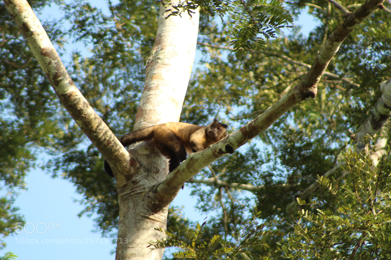Canon EF 75-300mm f/4-5.6 sample photo. Untitled photography