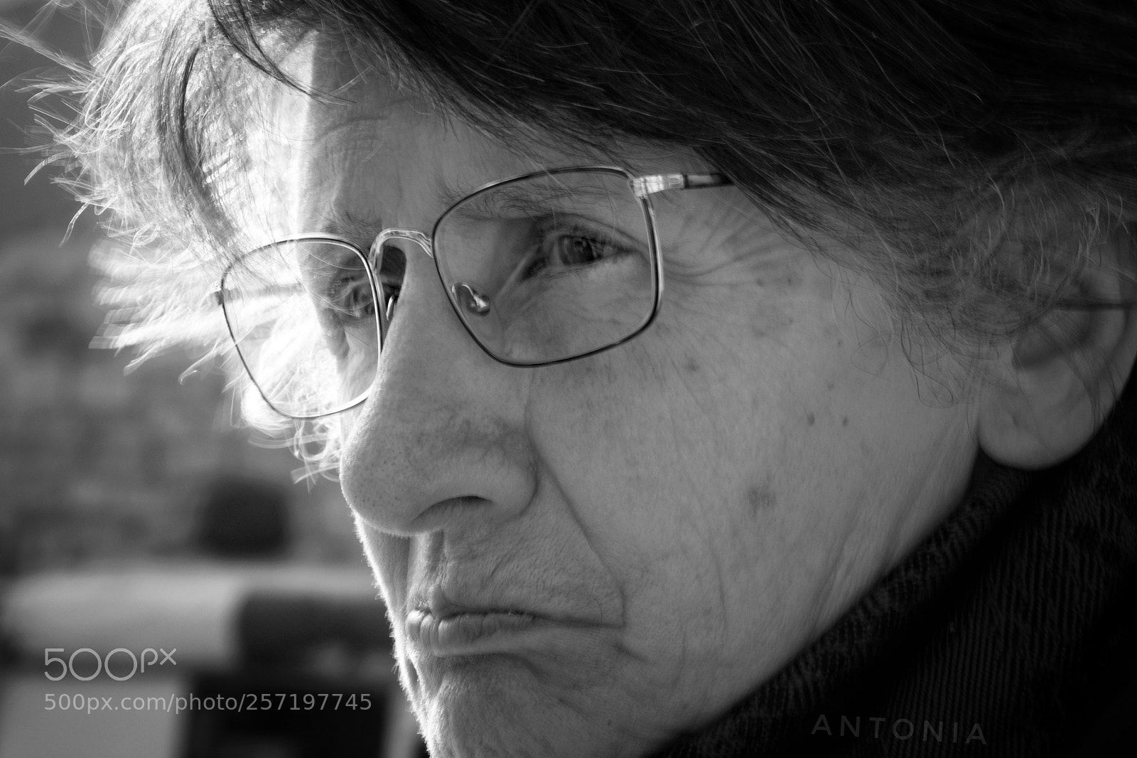 Nikon D7200 sample photo. Untitled photography