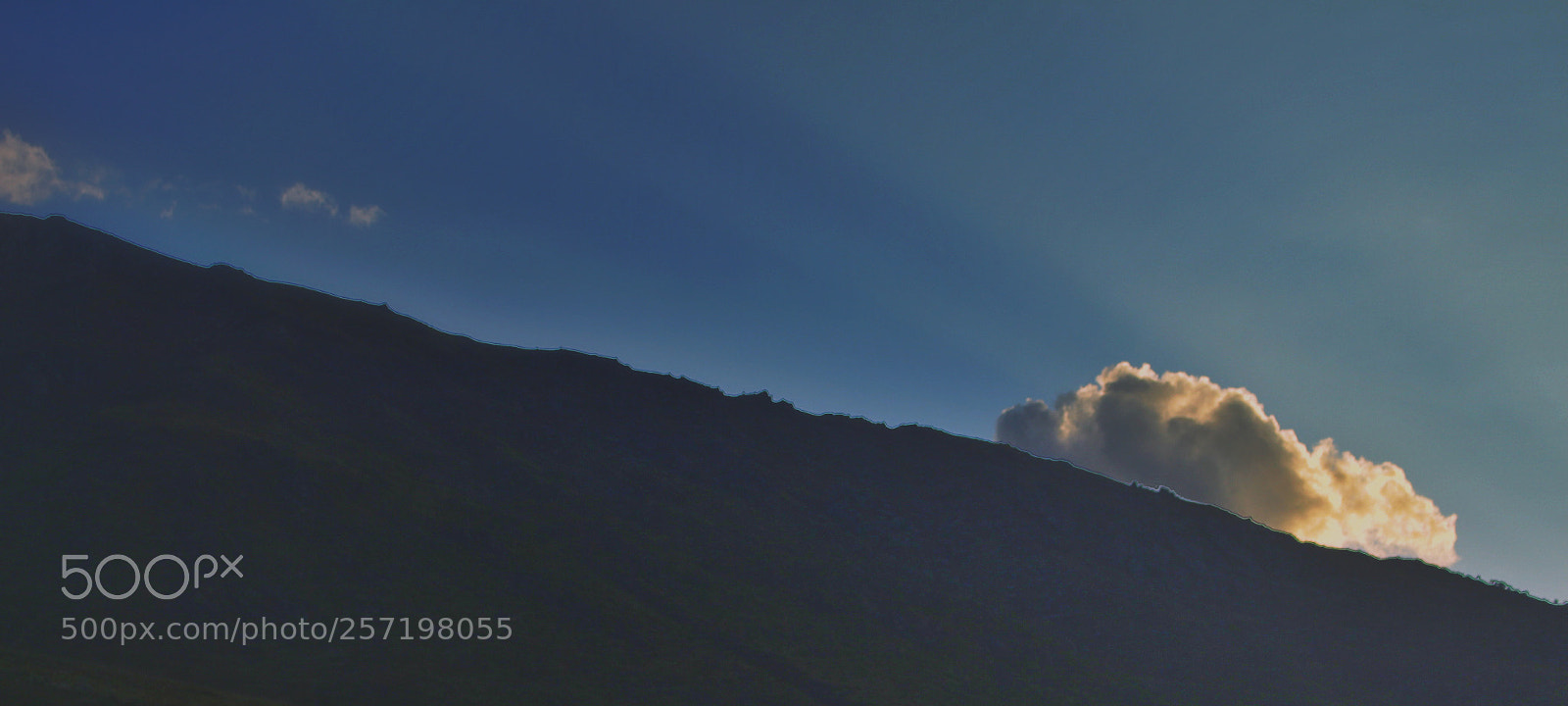 Canon EOS 700D (EOS Rebel T5i / EOS Kiss X7i) sample photo. The last hope. photography