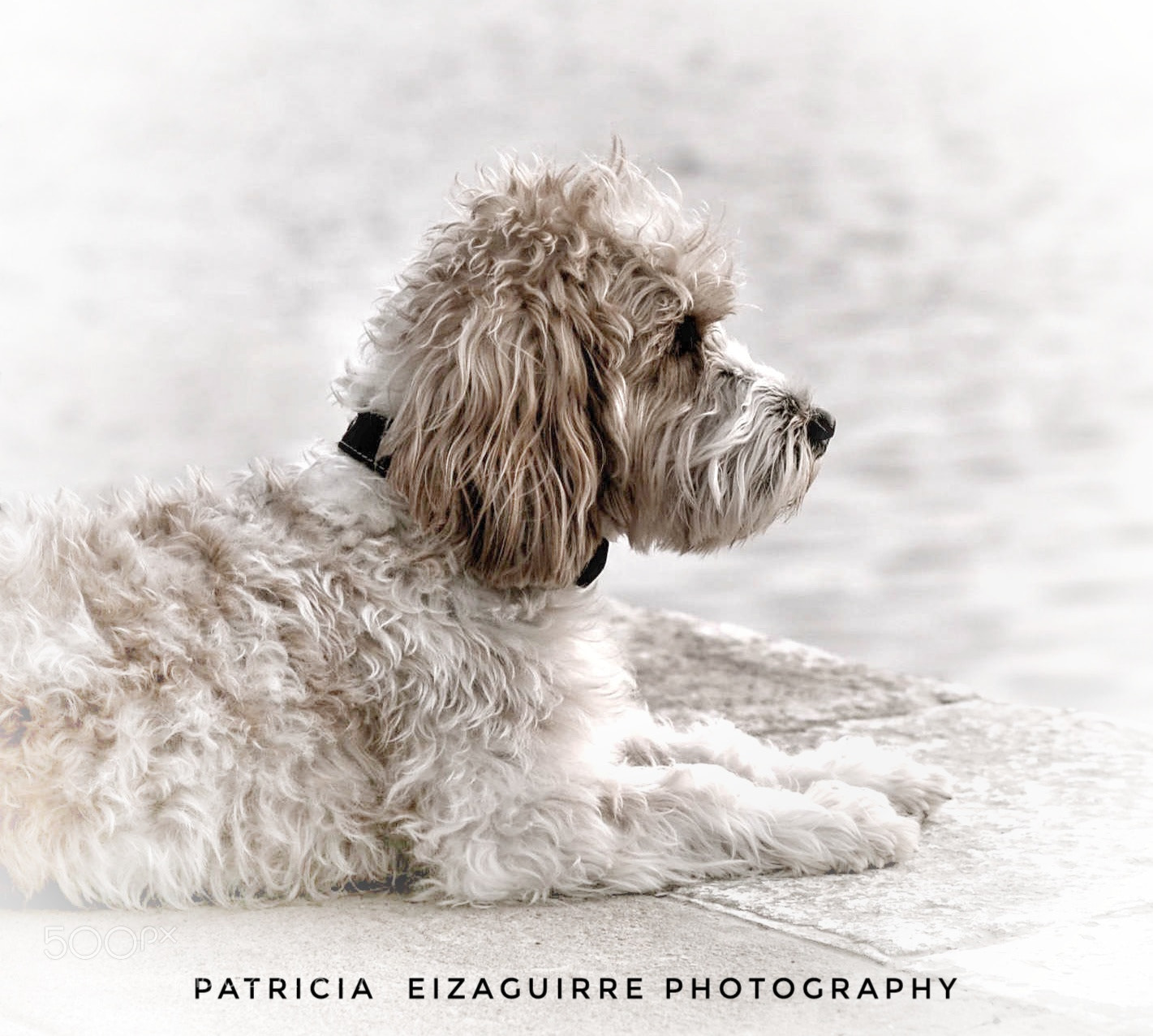 Nikon D610 sample photo. Thinking photography