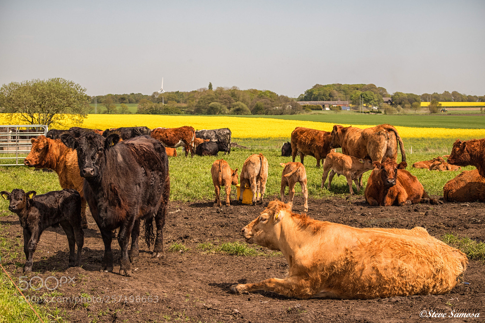 Canon EOS 6D Mark II sample photo. Down on the farm photography