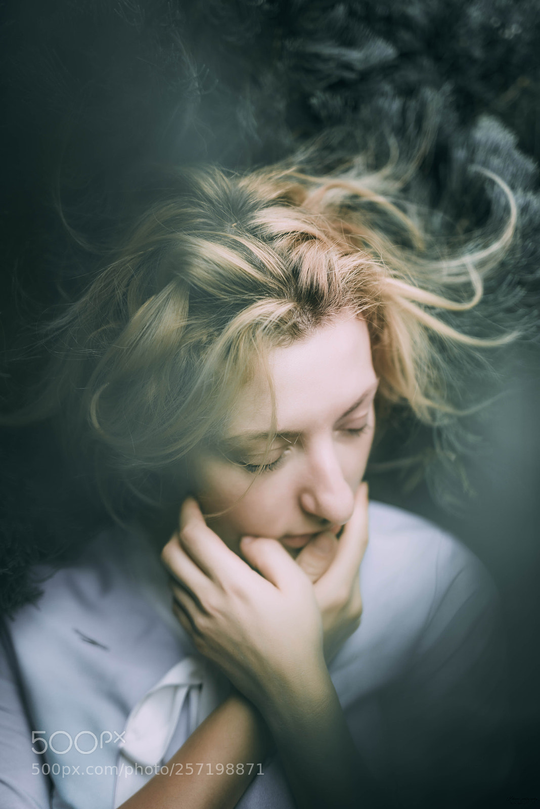 Nikon D810 sample photo. Ruminate photography