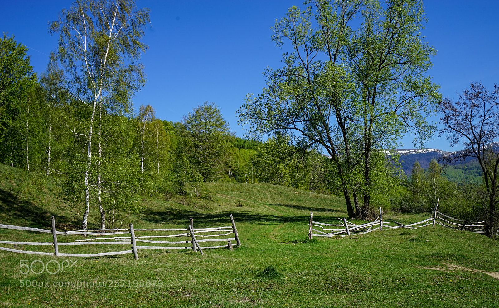Sony a7 sample photo. The peace of nature photography