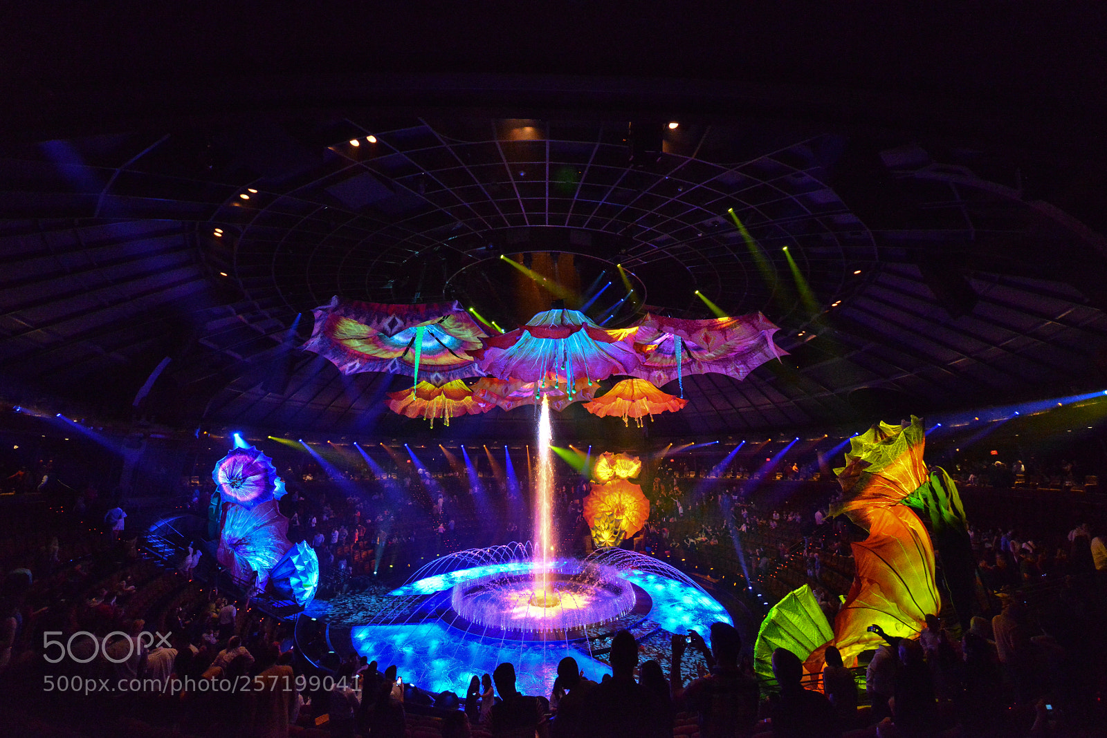 Nikon D800 sample photo. The end of show photography