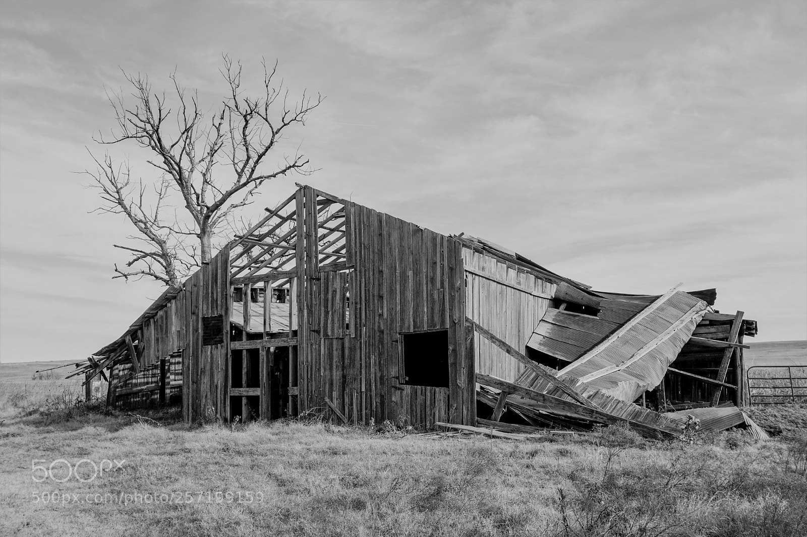 Sony a6300 sample photo. Farm photography