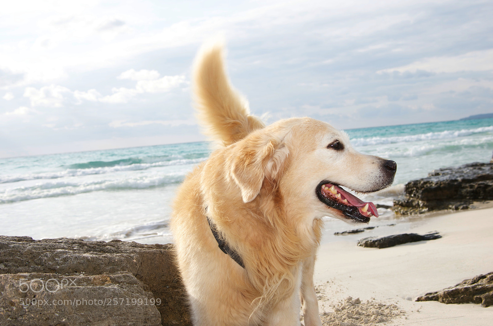 Pentax K-5 sample photo. Oskar,,, photography