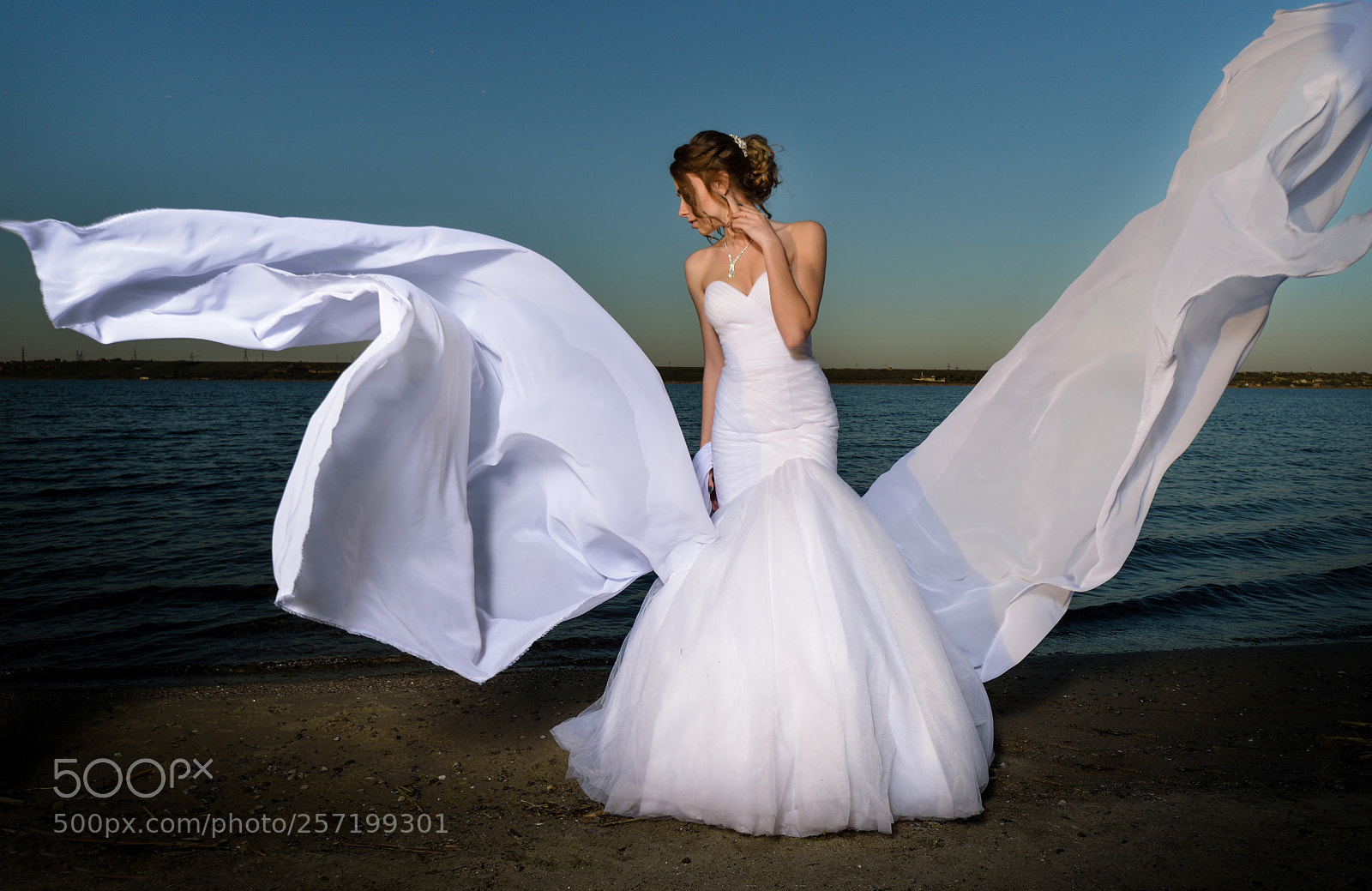 Nikon D800 sample photo. Angel photography