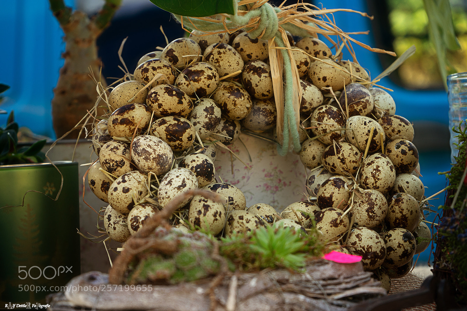 Sony a7 II sample photo. Eier photography