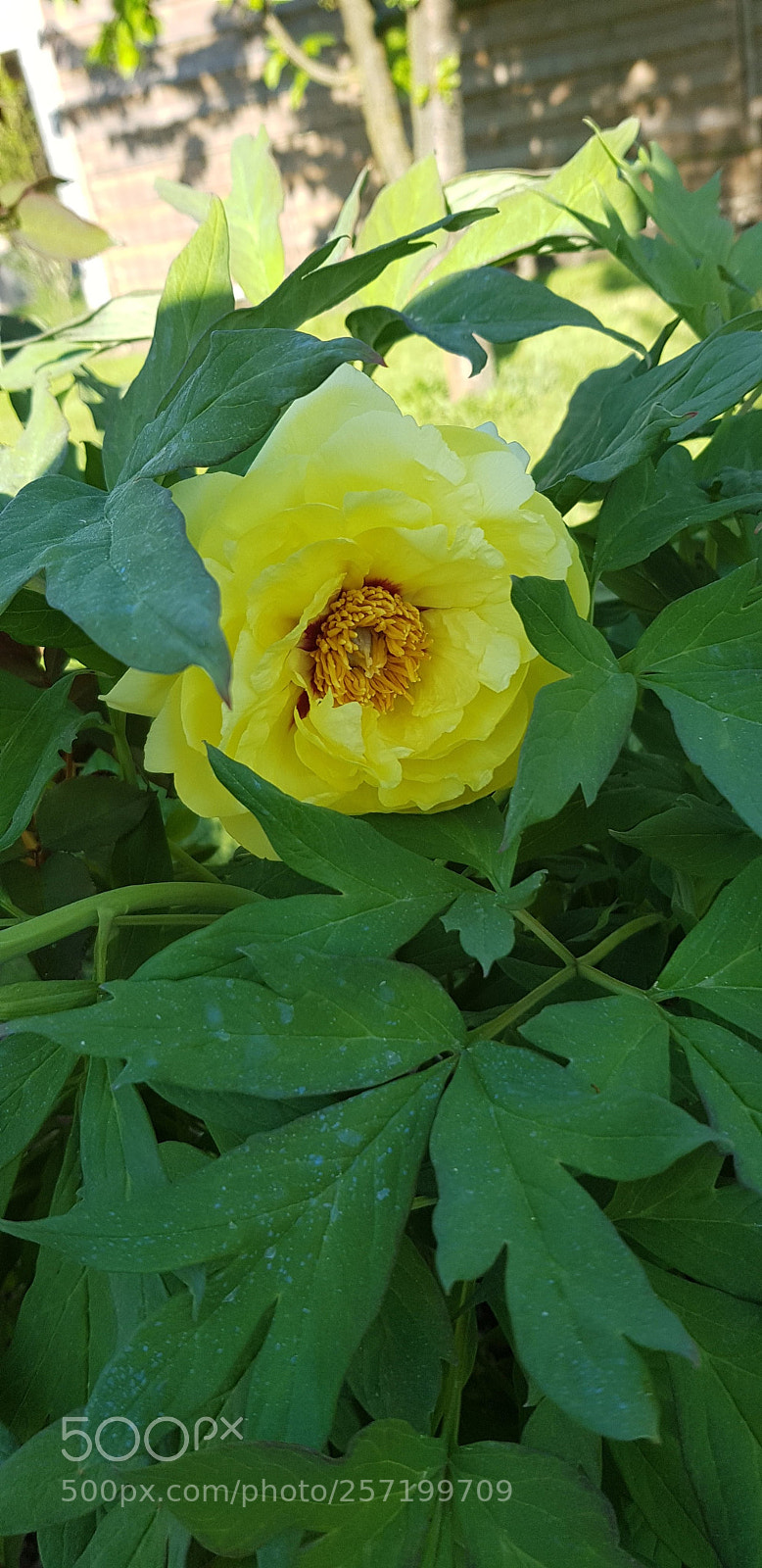 Samsung Galaxy S8 sample photo. Untitled photography