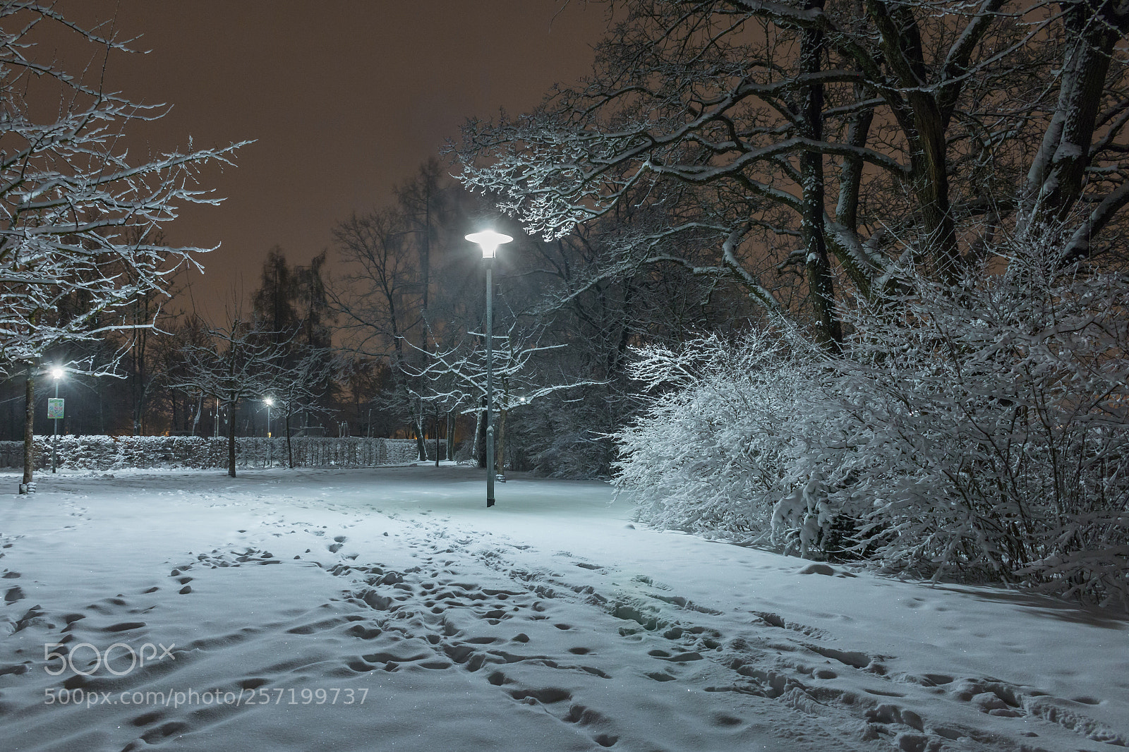 Canon EOS 70D sample photo. Winter photography