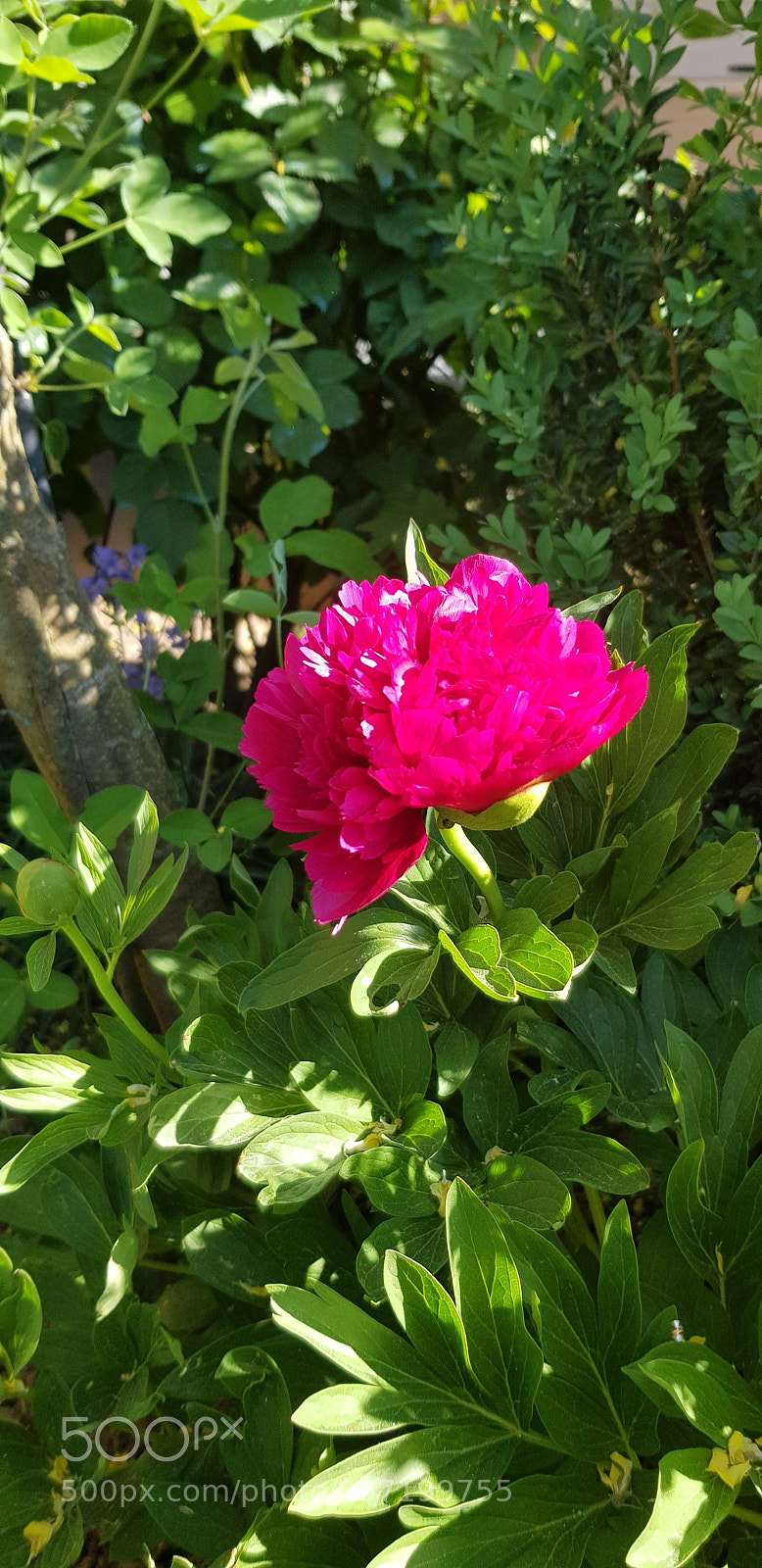 Samsung Galaxy S8 sample photo. Untitled photography