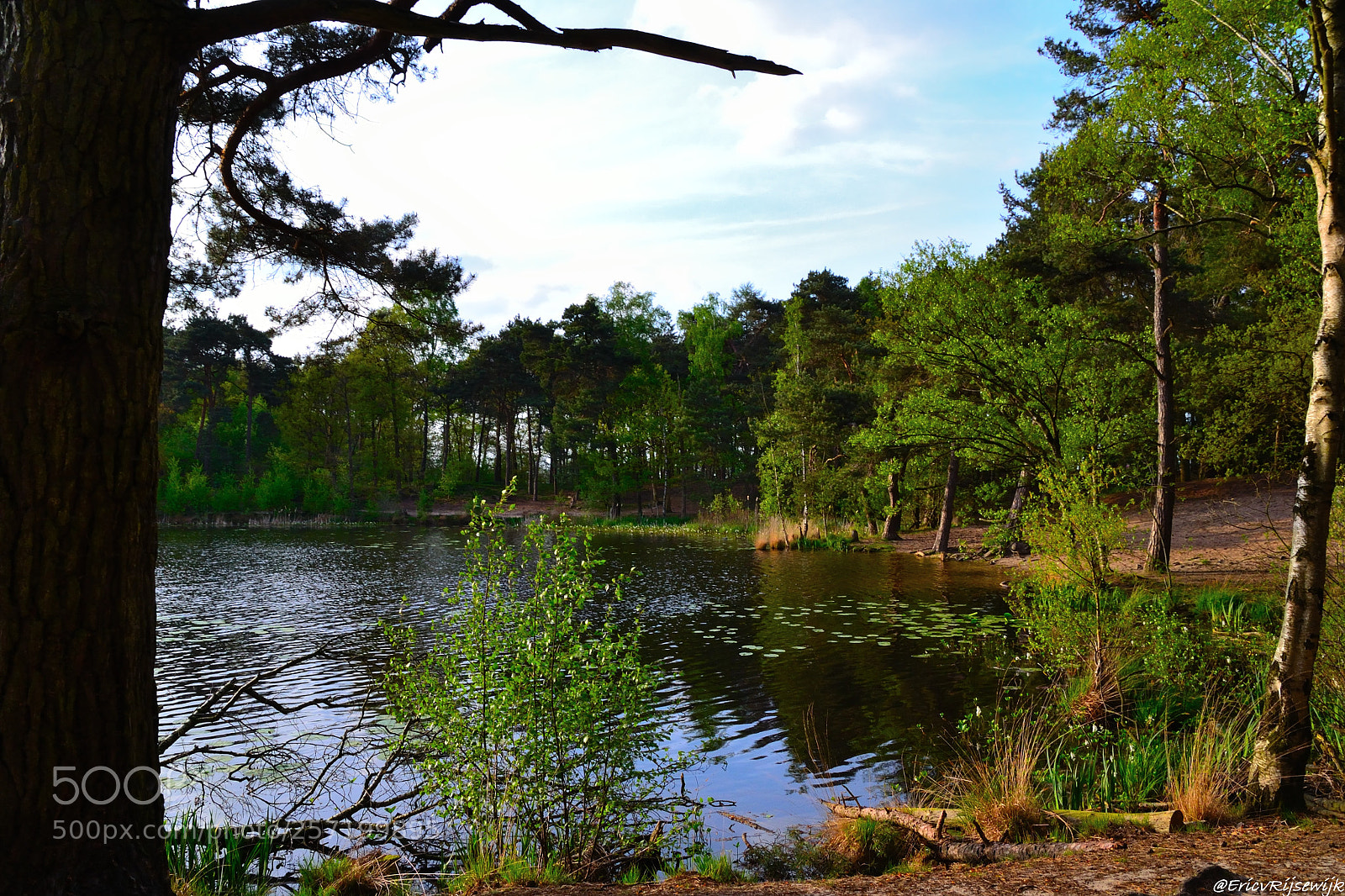 Nikon D3100 sample photo. T schaapsven photography