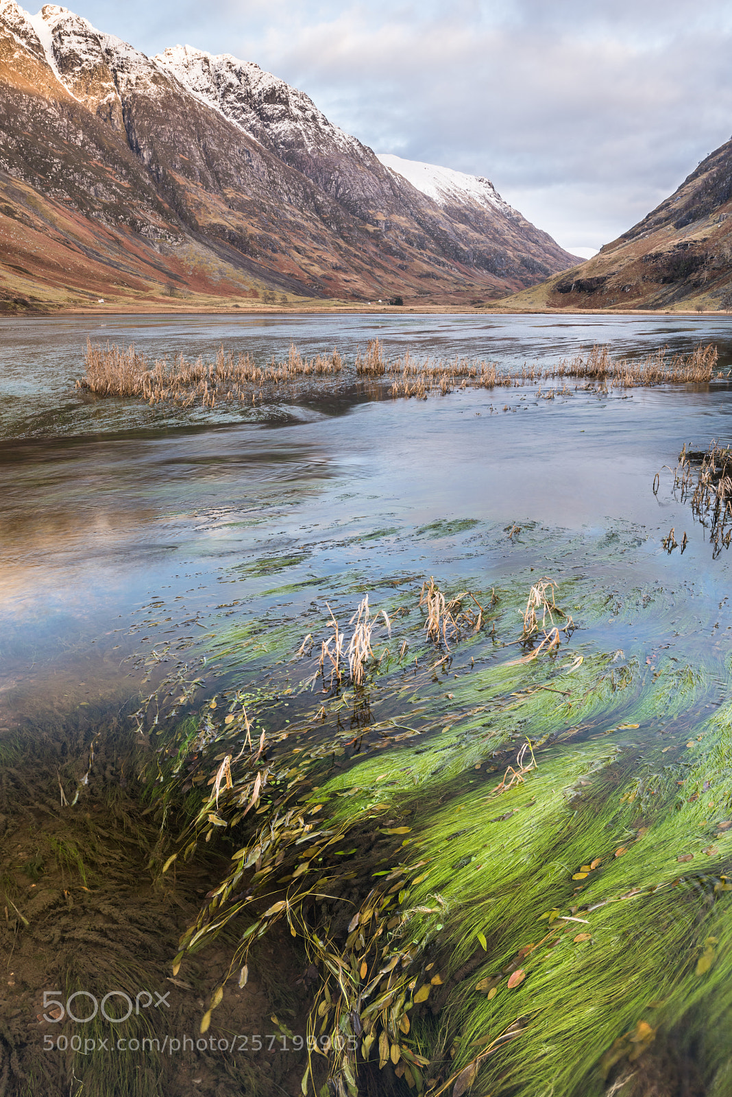 Nikon D810 sample photo. Achtriochtan & aonach eagach #5 photography
