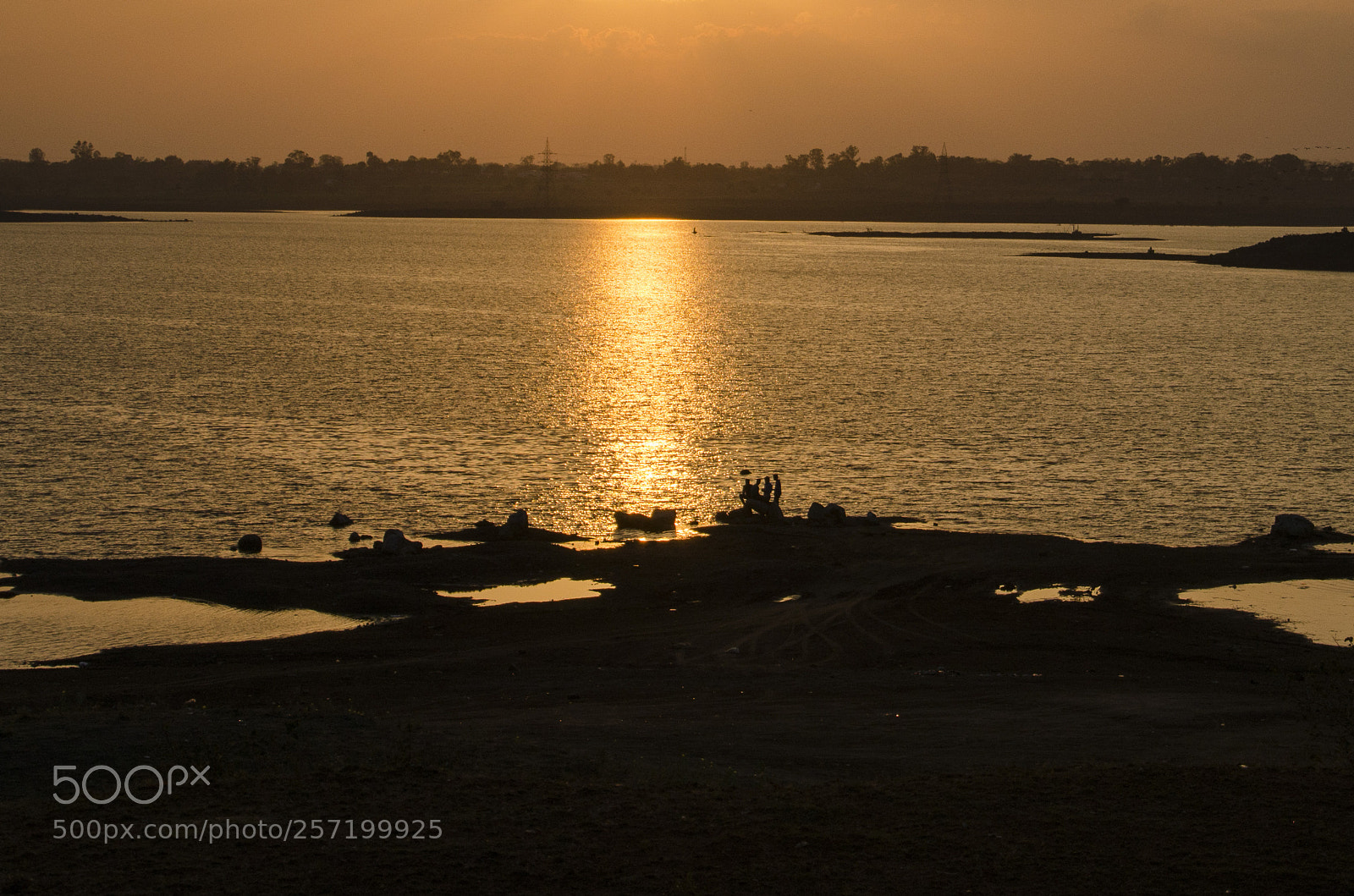 Nikon D5100 sample photo. Sunbath photography